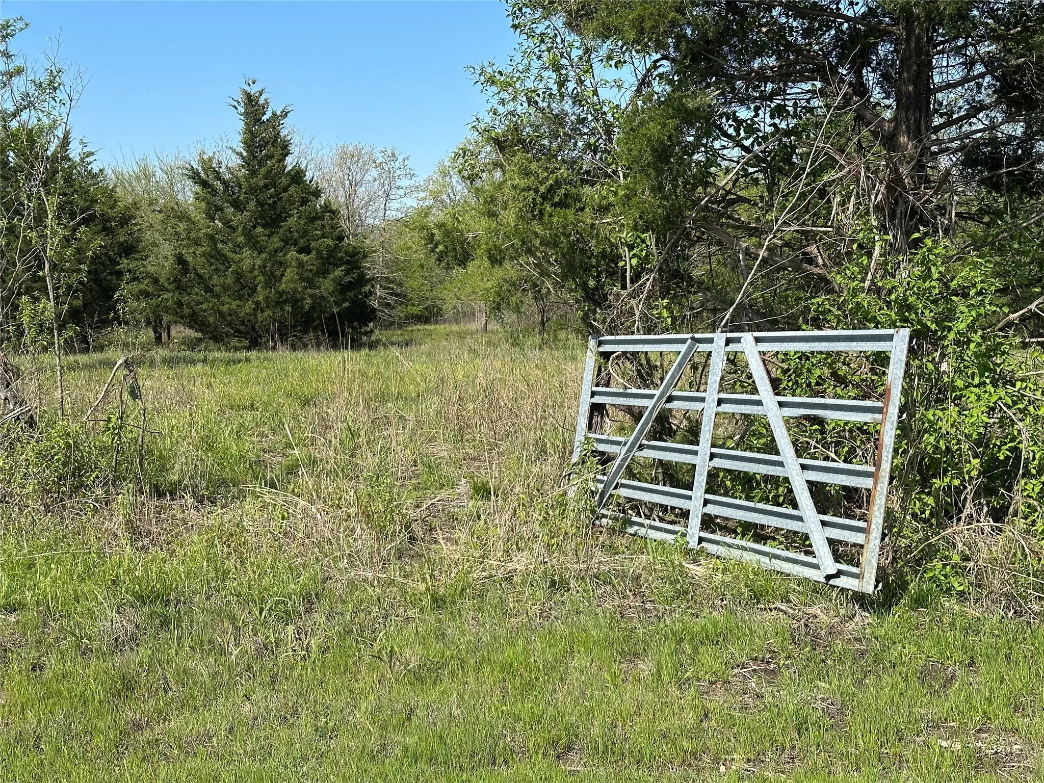 View of gate