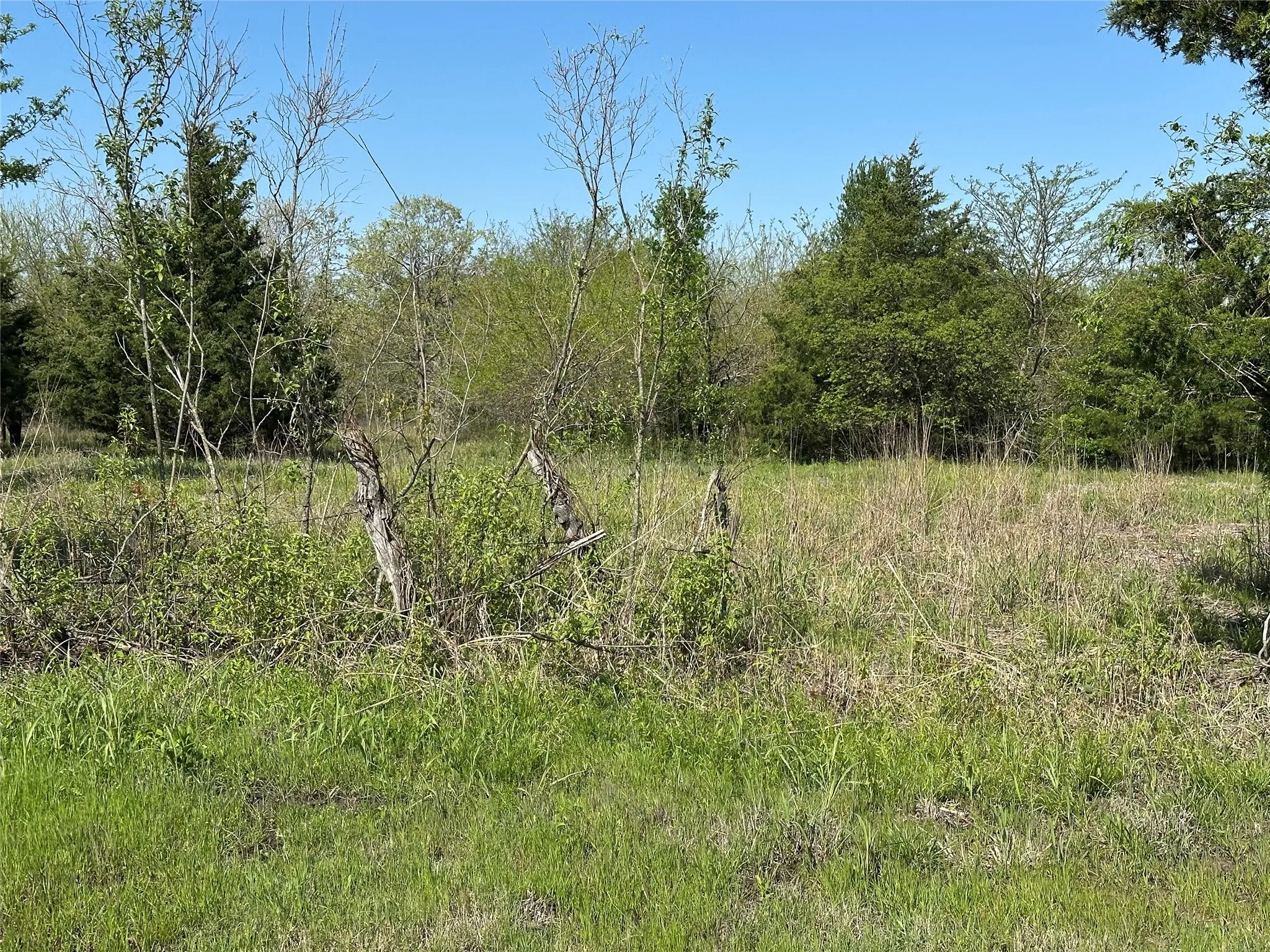 View of nature