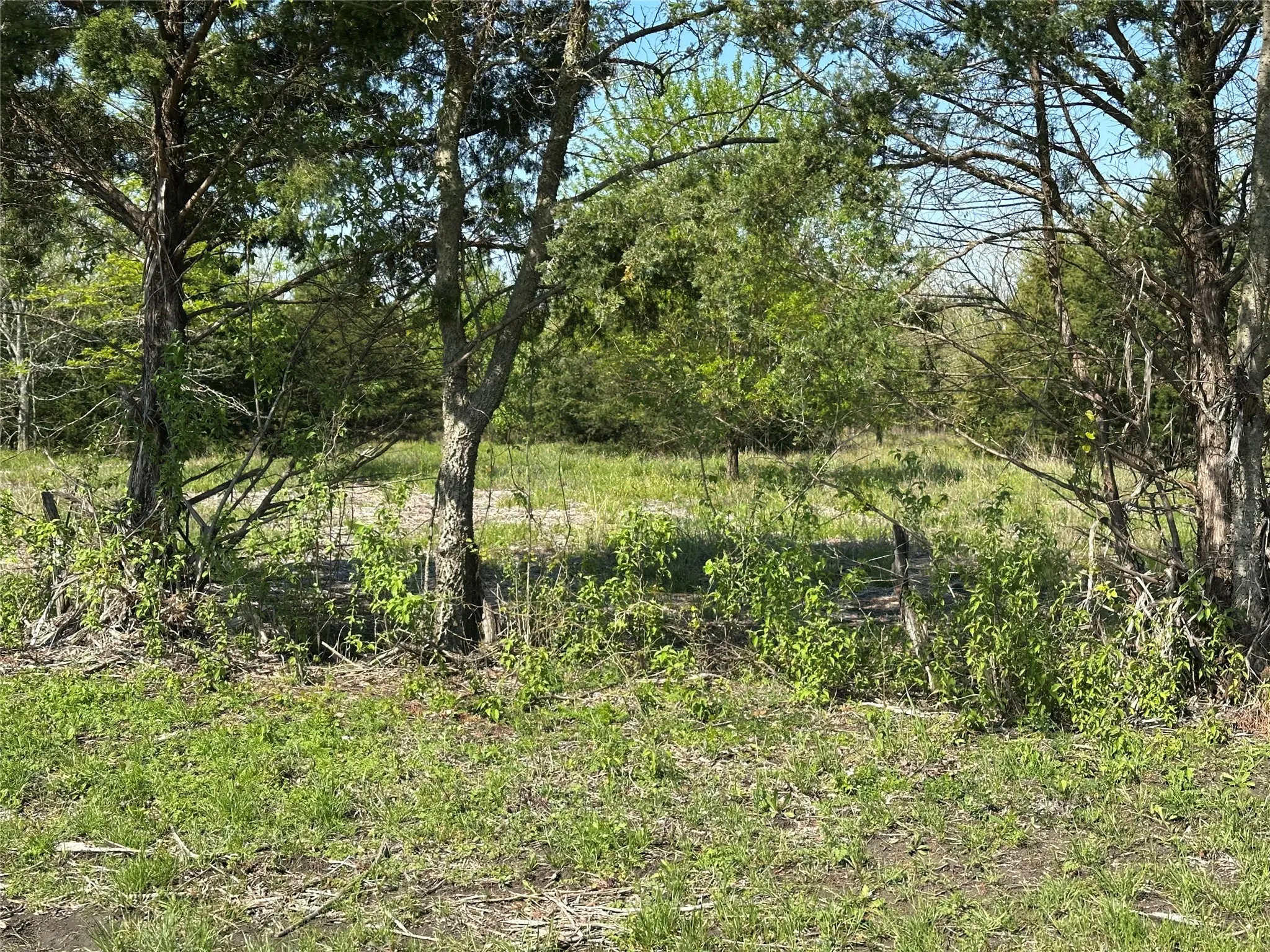 View of nature