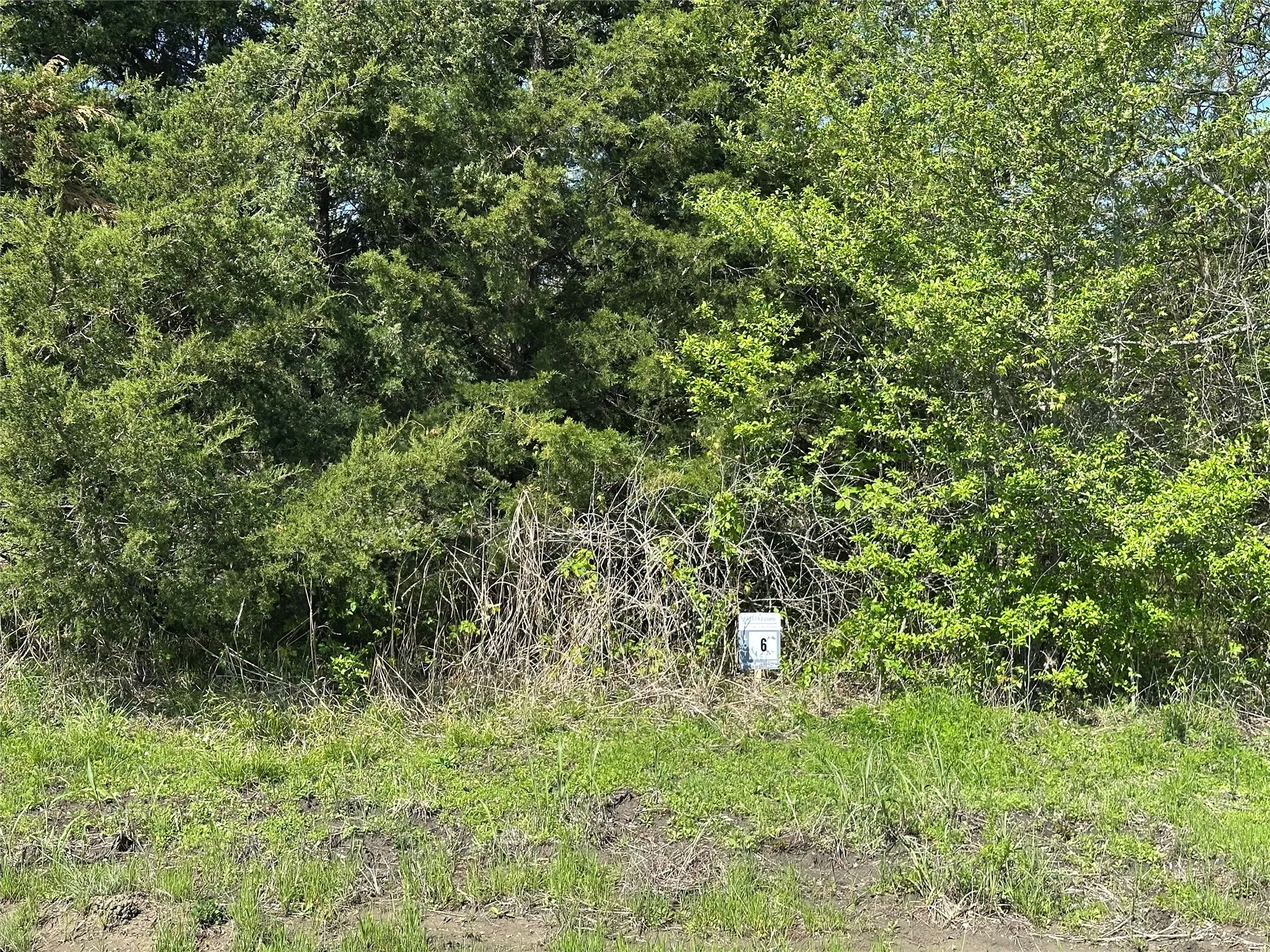 Unimproved Land For Sale in Fannin County , Tract 6 Farm to Market 1743, Honey Grove, Texas 75446, 0, 0, Garage spaces, 0 Sqft, built in 0, Price $155,000, mls#20924342, Real Estate Agent in Honey Grove, Homes For Sale in Fannin county, Homes For Sale in Honey Grove, Realtor in Honey Grove Texas, Real Estate Brokerage Independent Realty Texas, Luminita Cordes Realtor