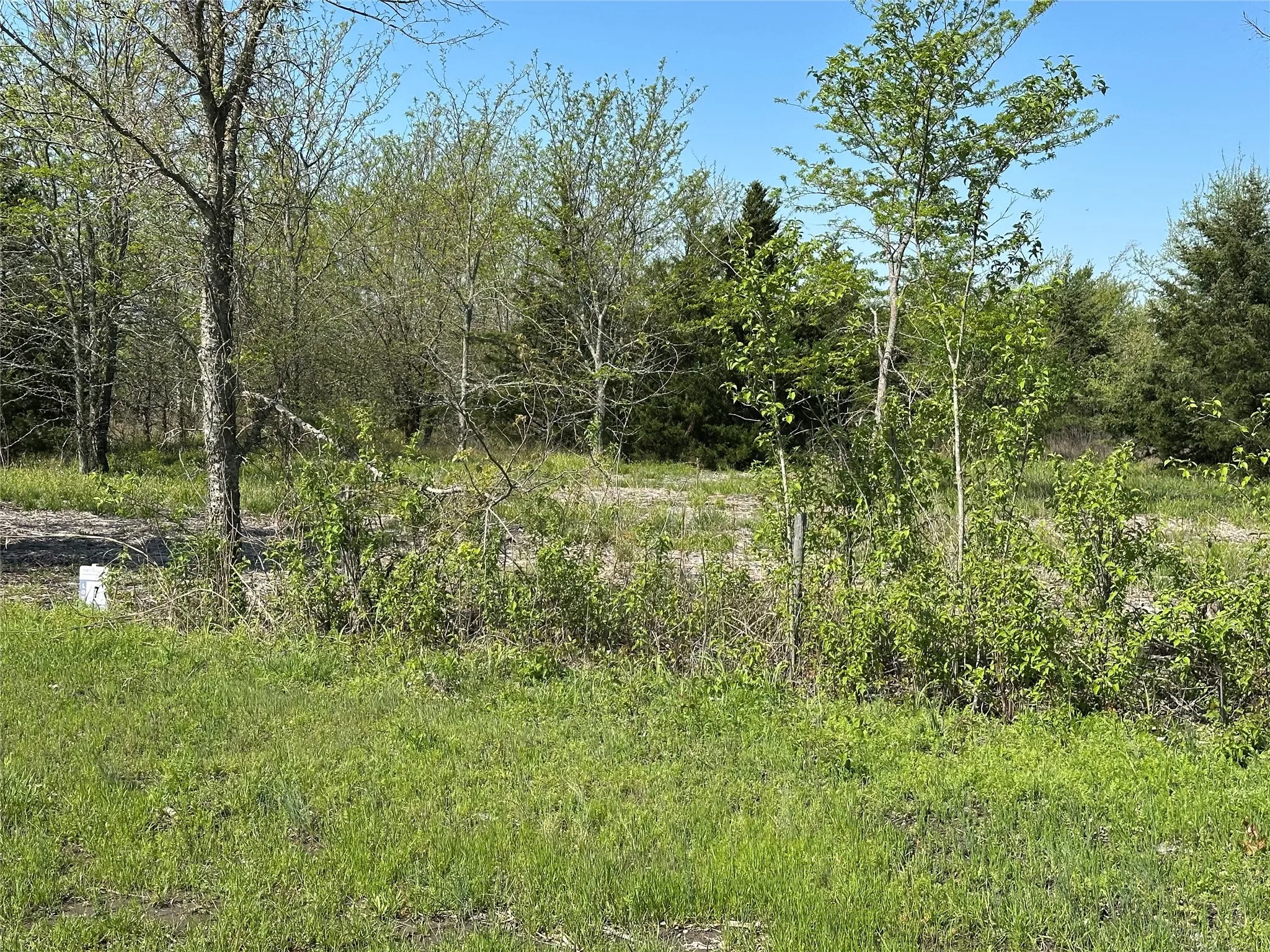 View of nature featuring a forest view