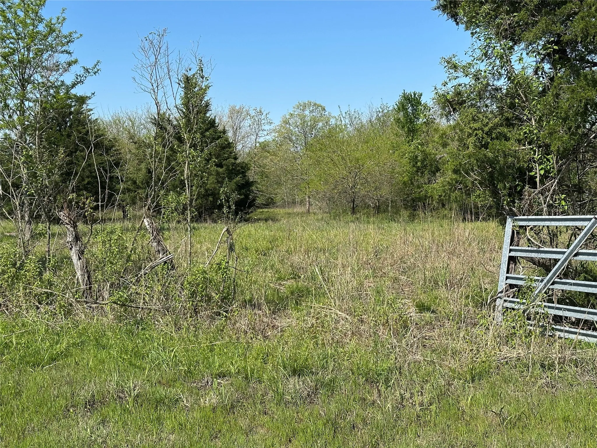 View of landscape