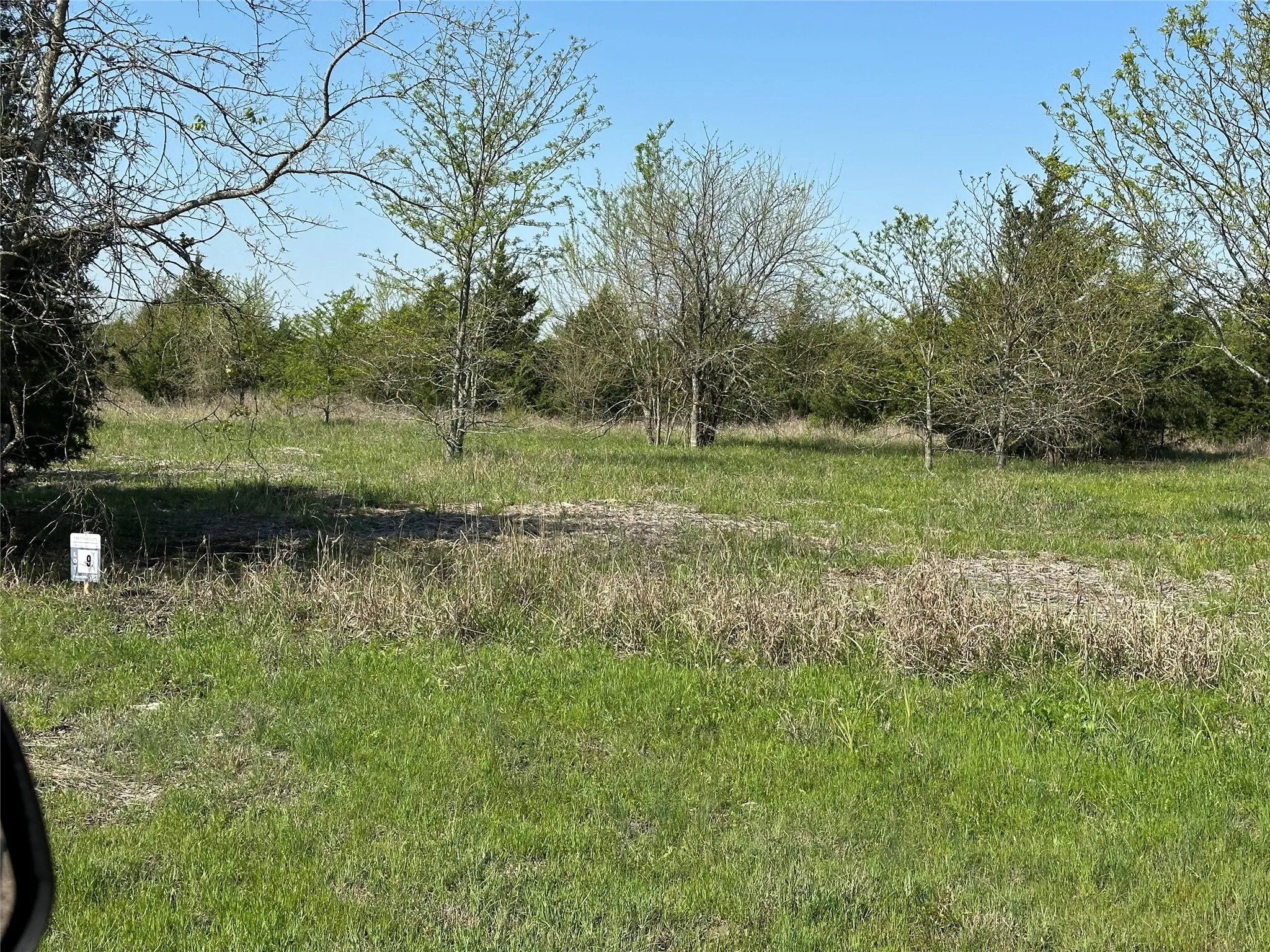 View of local wilderness