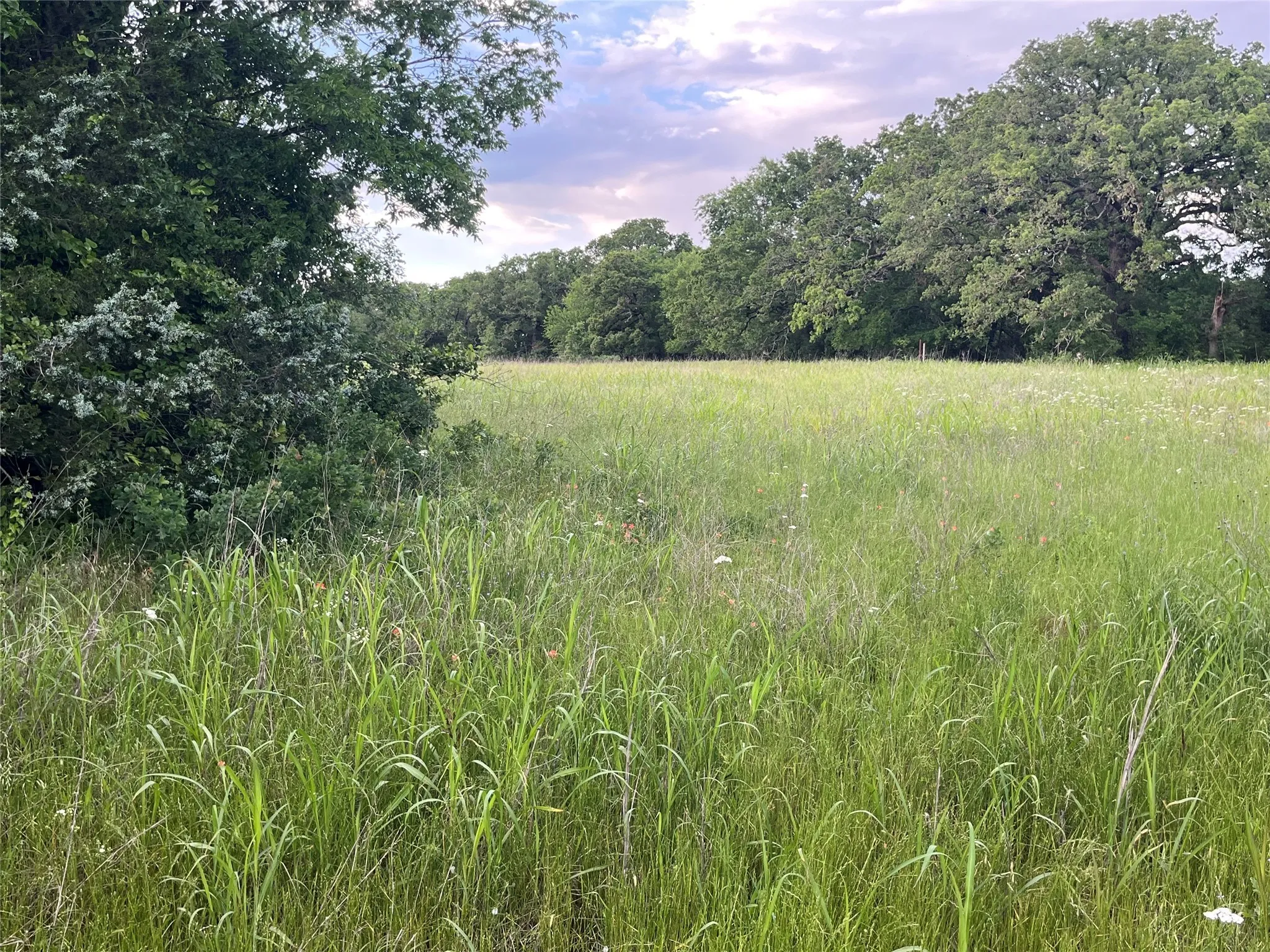 Ranch For Sale in Montague County , Tract 1 Fm 3043, Bowie, Texas 76230, 0, 0, Garage spaces, 0 Sqft, built in 0, mls#20925420, Real Estate Agent in Bowie, Homes For Sale in Montague county, Homes For Sale in Bowie, Realtor in Bowie Texas, Real Estate Brokerage Independent Realty Texas, Luminita Cordes Realtor