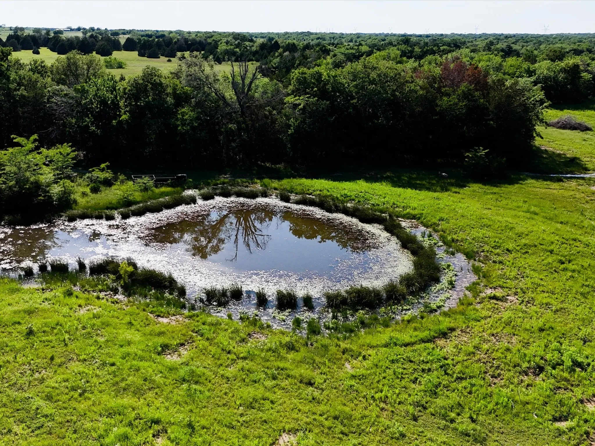 Unimproved Land For Sale in Hunt County , 3517 Private Road 3537, Lone Oak, Texas 75453, 0, 0, Garage spaces, 0 Sqft, built in 0, mls#20920743, Real Estate Agent in Lone Oak, Homes For Sale in Hunt county, Homes For Sale in Lone Oak, Realtor in Lone Oak Texas, Real Estate Brokerage Independent Realty Texas, Luminita Cordes Realtor