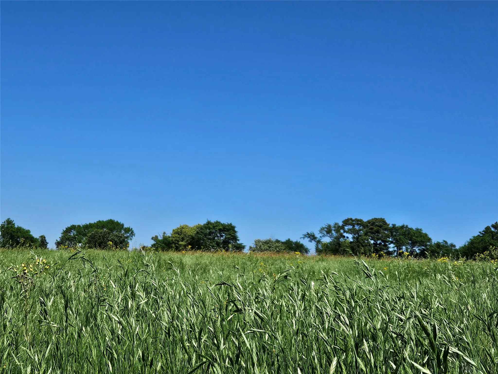 Improved Land For Sale in Henderson County , 1140 CR-3412, Chandler, Texas 75758, 0, 0, Garage spaces, 0 Sqft, built in 0, mls#20925319, Real Estate Agent in Chandler, Homes For Sale in Henderson county, Homes For Sale in Chandler, Realtor in Chandler Texas, Real Estate Brokerage Independent Realty Texas, Luminita Cordes Realtor