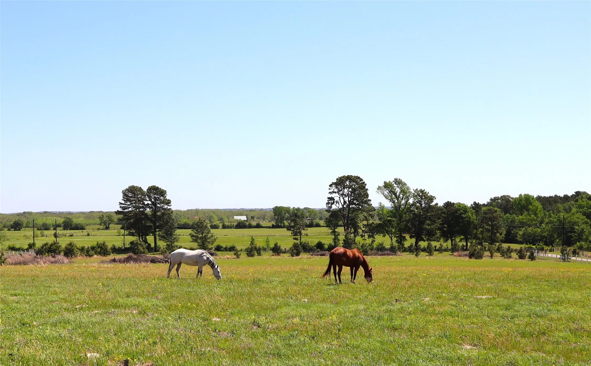 View of yard with a rural view