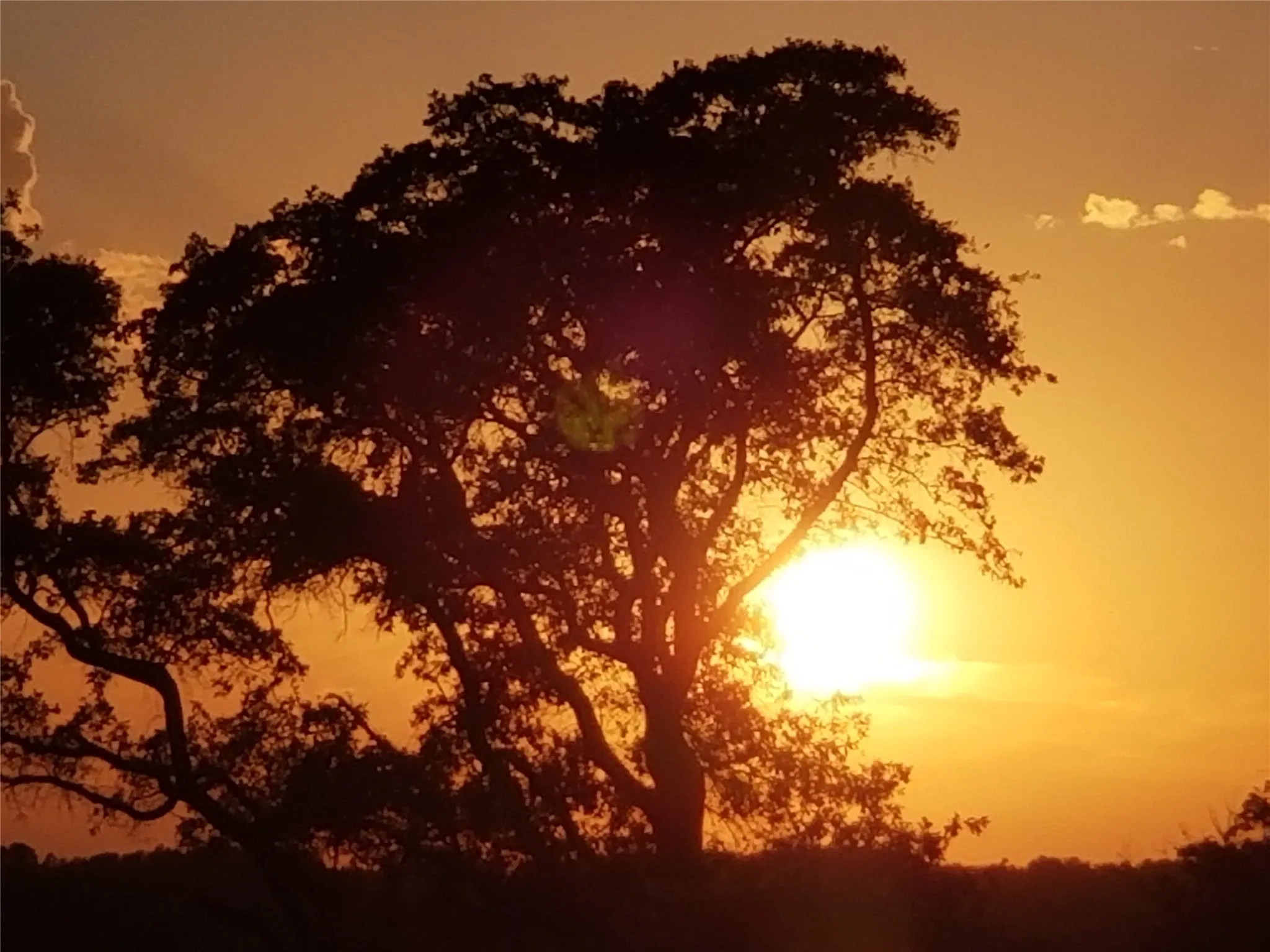 View of nature at dusk