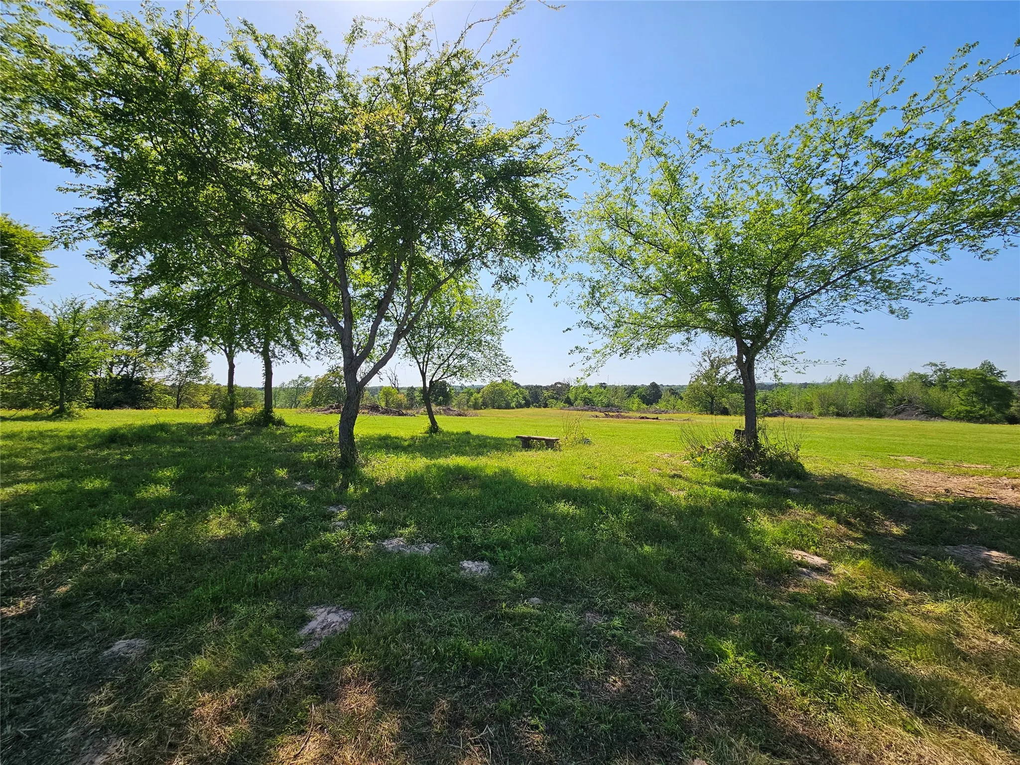 Improved Land For Sale in Henderson County , 1140 CR-3412, Chandler, Texas 75758, 0, 0, Garage spaces, 0 Sqft, built in 0, mls#20925319, Real Estate Agent in Chandler, Homes For Sale in Henderson county, Homes For Sale in Chandler, Realtor in Chandler Texas, Real Estate Brokerage Independent Realty Texas, Luminita Cordes Realtor