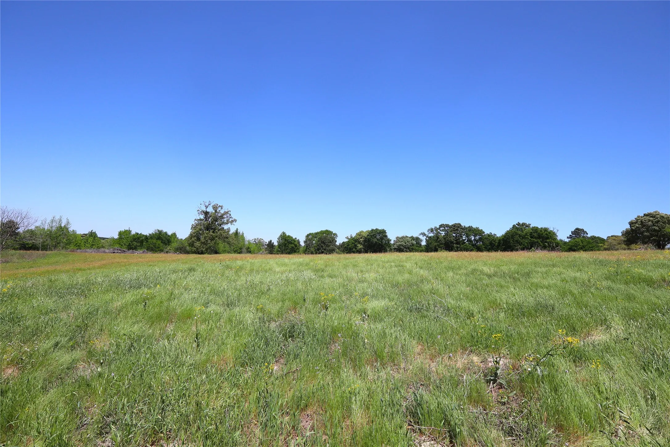 View of local wilderness featuring a rural view