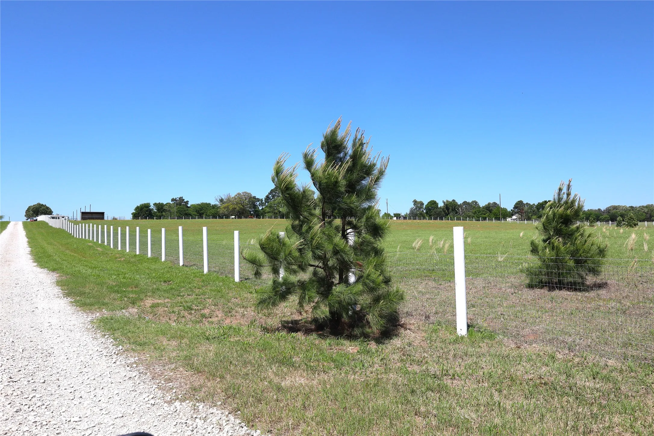 Improved Land For Sale in Henderson County , 1140 CR-3412, Chandler, Texas 75758, 0, 0, Garage spaces, 0 Sqft, built in 0, mls#20925319, Real Estate Agent in Chandler, Homes For Sale in Henderson county, Homes For Sale in Chandler, Realtor in Chandler Texas, Real Estate Brokerage Independent Realty Texas, Luminita Cordes Realtor
