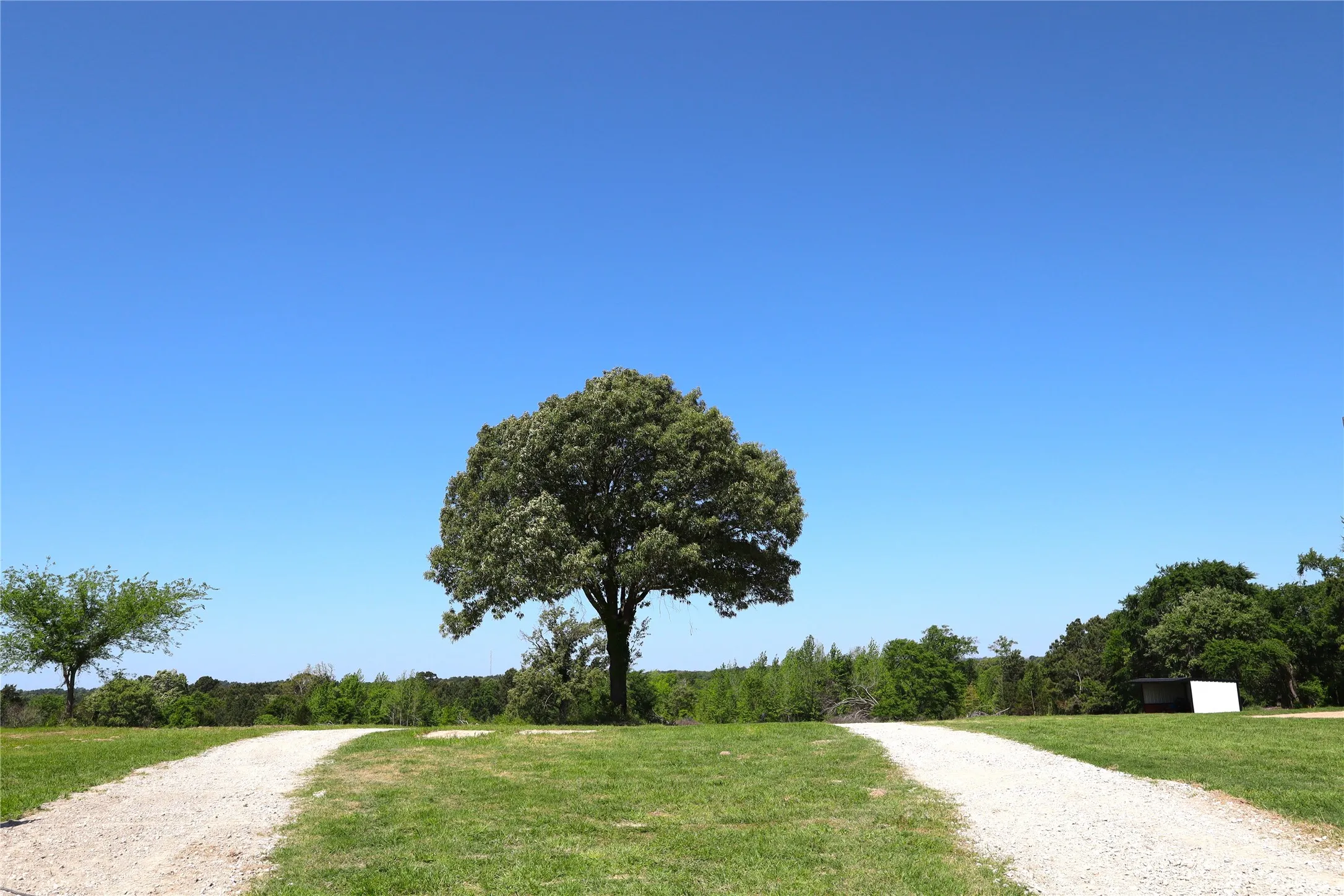 Improved Land For Sale in Henderson County , 1140 CR-3412, Chandler, Texas 75758, 0, 0, Garage spaces, 0 Sqft, built in 0, mls#20925319, Real Estate Agent in Chandler, Homes For Sale in Henderson county, Homes For Sale in Chandler, Realtor in Chandler Texas, Real Estate Brokerage Independent Realty Texas, Luminita Cordes Realtor