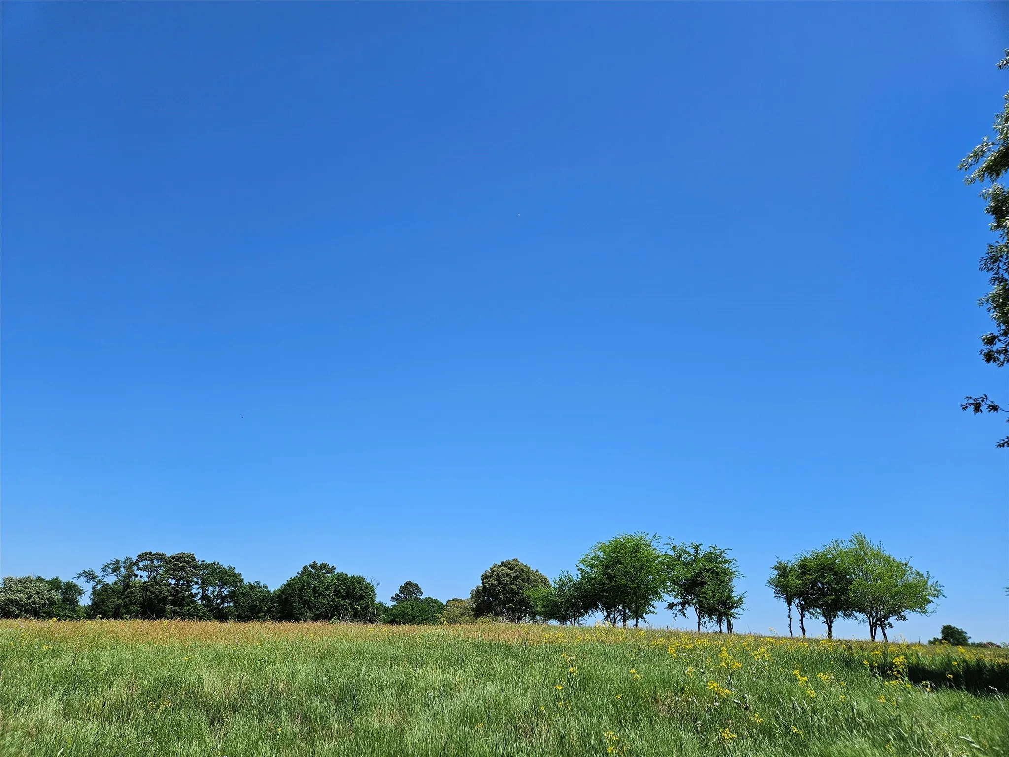 Improved Land For Sale in Henderson County , 1140 CR-3412, Chandler, Texas 75758, 0, 0, Garage spaces, 0 Sqft, built in 0, mls#20925319, Real Estate Agent in Chandler, Homes For Sale in Henderson county, Homes For Sale in Chandler, Realtor in Chandler Texas, Real Estate Brokerage Independent Realty Texas, Luminita Cordes Realtor