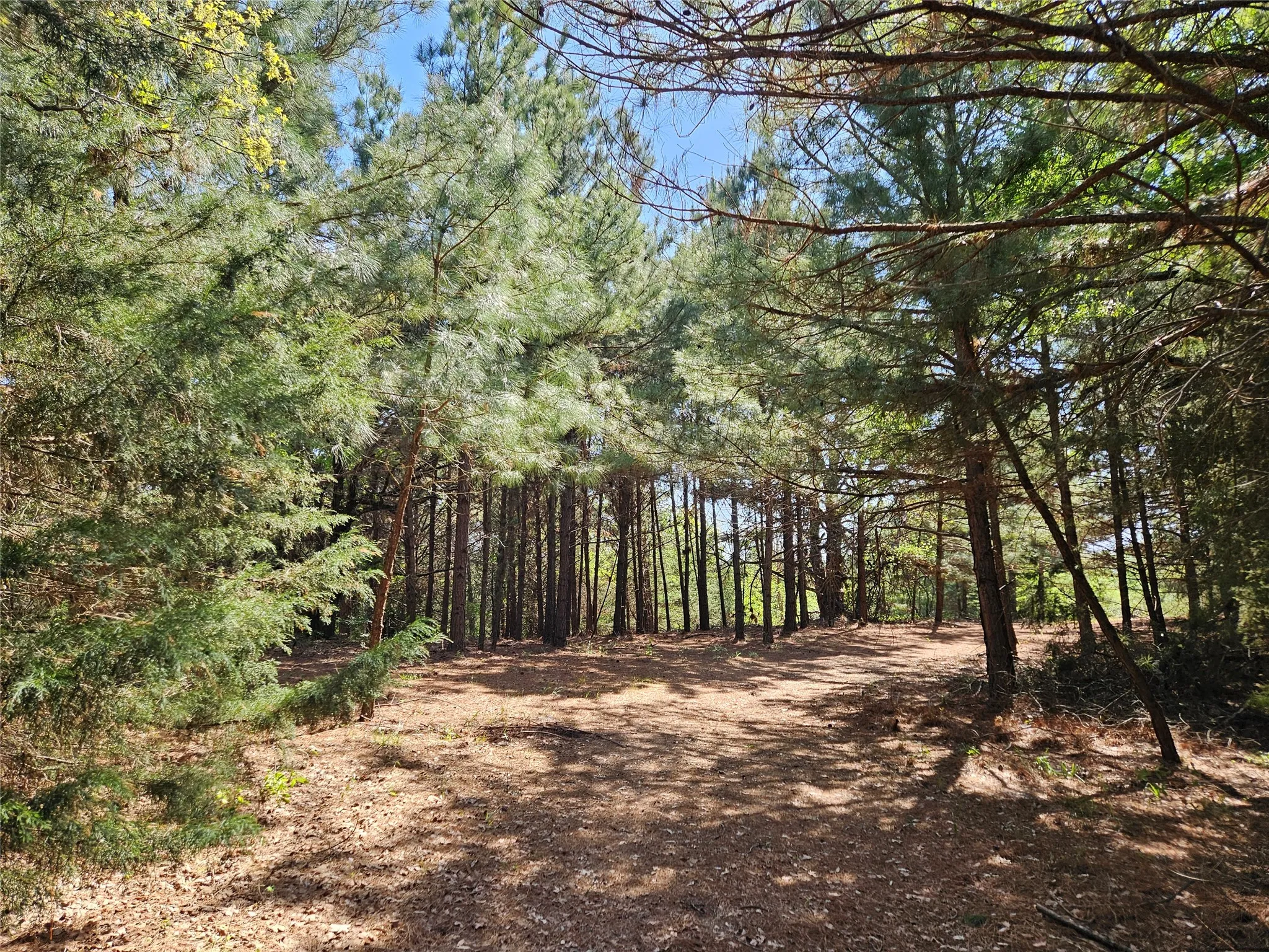 Improved Land For Sale in Henderson County , 1140 CR-3412, Chandler, Texas 75758, 0, 0, Garage spaces, 0 Sqft, built in 0, mls#20925319, Real Estate Agent in Chandler, Homes For Sale in Henderson county, Homes For Sale in Chandler, Realtor in Chandler Texas, Real Estate Brokerage Independent Realty Texas, Luminita Cordes Realtor