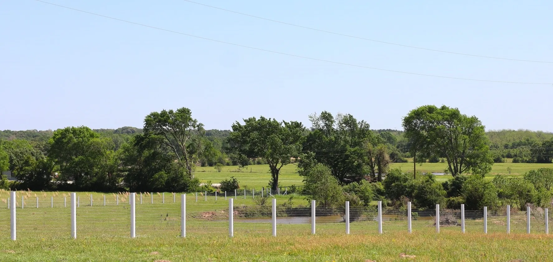 View of local wilderness featuring a rural view