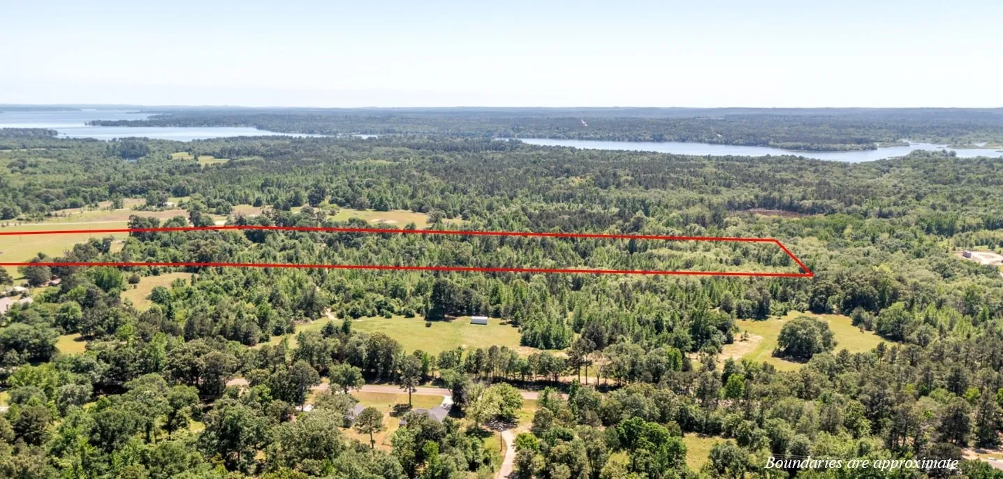 Aerial view with a water view and a forest view