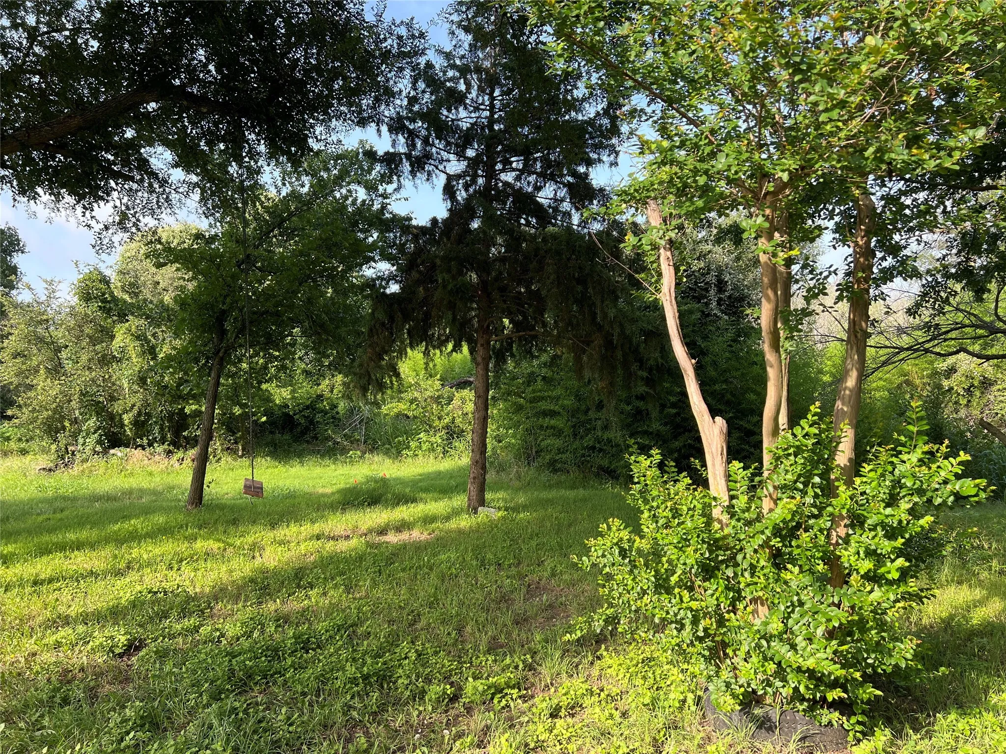 View of local wilderness