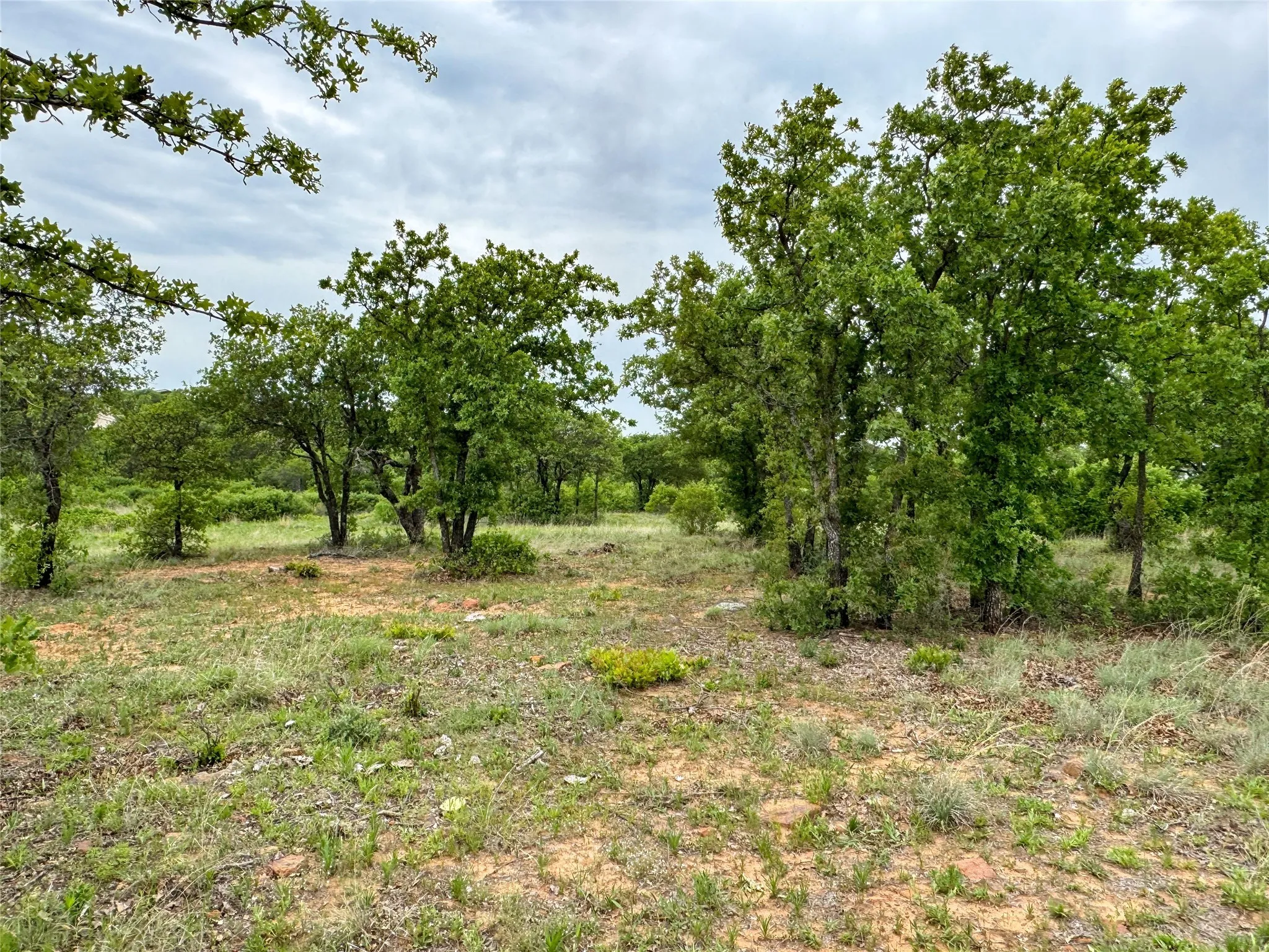 Unimproved Land For Sale in Eastland County , Lot 83 Shoreline Drive, Cisco, Texas 76437, 0, 0, Garage spaces, 0 Sqft, built in 0, Price $89,900, mls#20926674, Real Estate Agent in Cisco, Homes For Sale in Eastland county, Homes For Sale in Cisco, Realtor in Cisco Texas, Real Estate Brokerage Independent Realty Texas, Luminita Cordes Realtor
