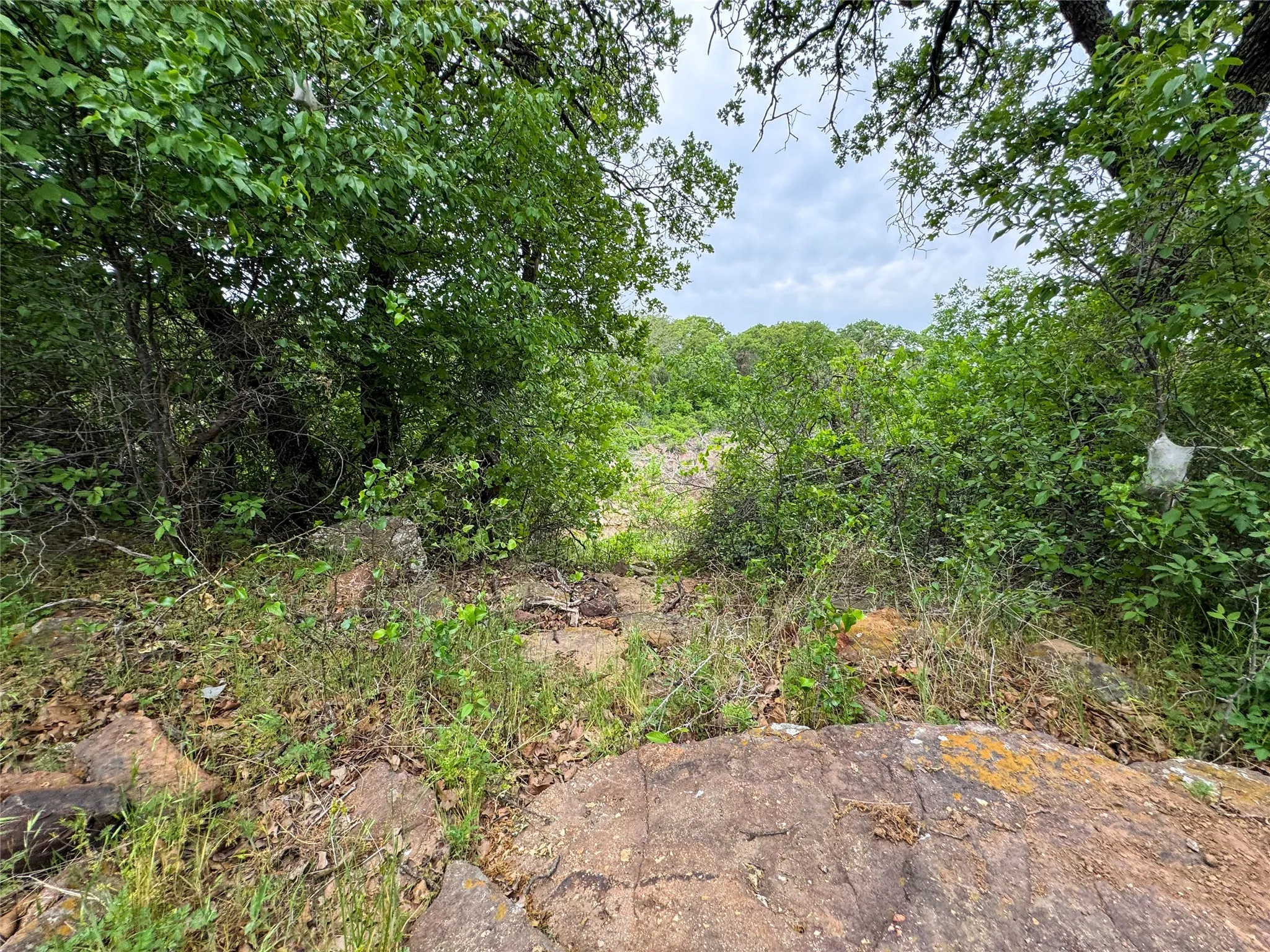 Unimproved Land For Sale in Eastland County , Lot 83 Shoreline Drive, Cisco, Texas 76437, 0, 0, Garage spaces, 0 Sqft, built in 0, Price $89,900, mls#20926674, Real Estate Agent in Cisco, Homes For Sale in Eastland county, Homes For Sale in Cisco, Realtor in Cisco Texas, Real Estate Brokerage Independent Realty Texas, Luminita Cordes Realtor