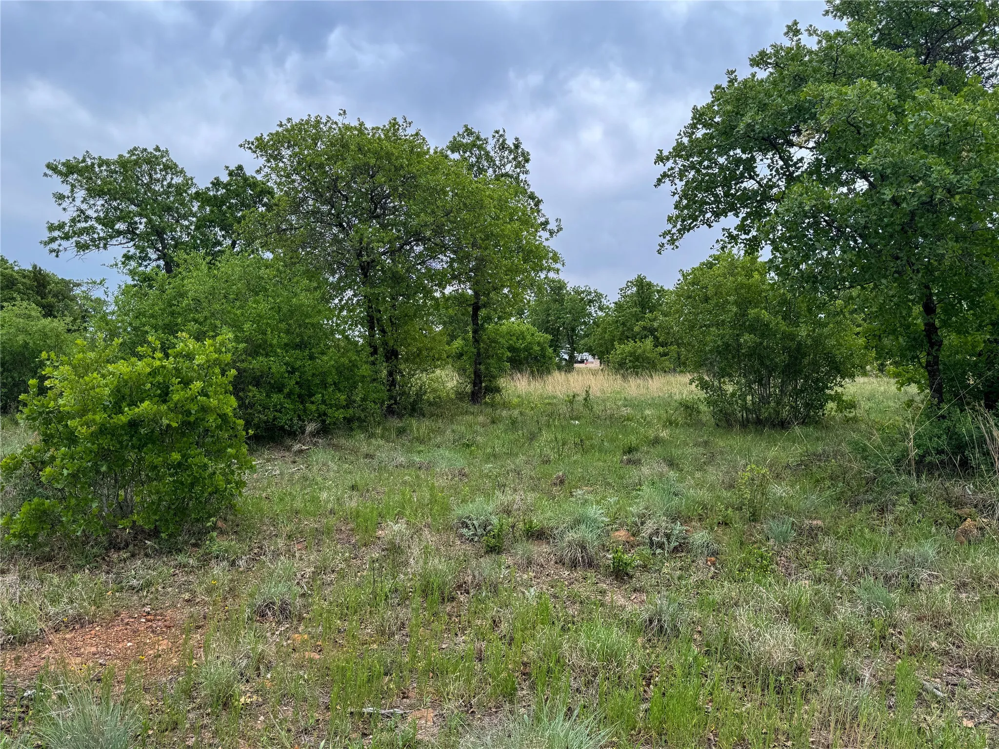Unimproved Land For Sale in Eastland County , Lot 83 Shoreline Drive, Cisco, Texas 76437, 0, 0, Garage spaces, 0 Sqft, built in 0, Price $89,900, mls#20926674, Real Estate Agent in Cisco, Homes For Sale in Eastland county, Homes For Sale in Cisco, Realtor in Cisco Texas, Real Estate Brokerage Independent Realty Texas, Luminita Cordes Realtor