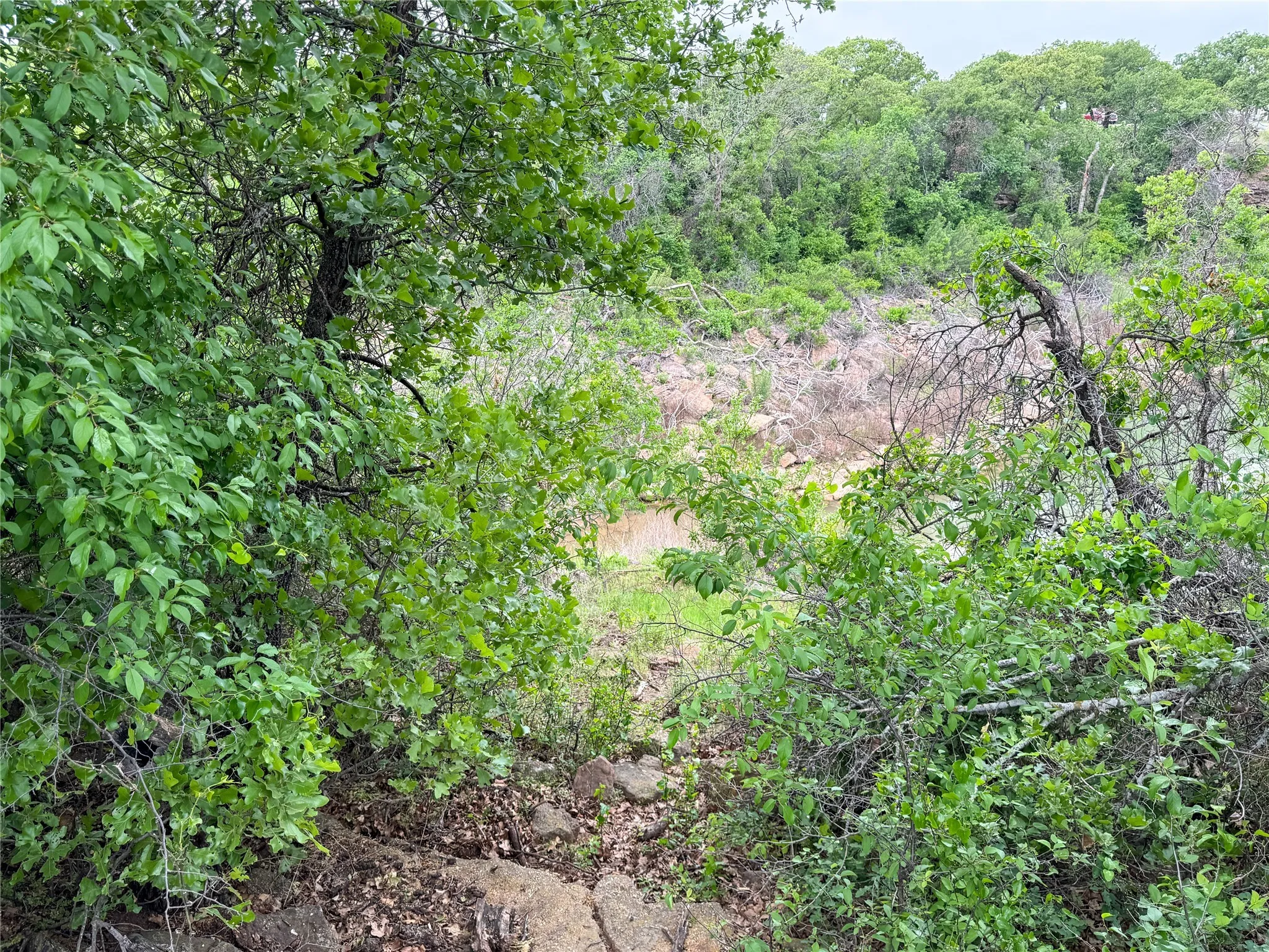 Unimproved Land For Sale in Eastland County , Lot 83 Shoreline Drive, Cisco, Texas 76437, 0, 0, Garage spaces, 0 Sqft, built in 0, Price $89,900, mls#20926674, Real Estate Agent in Cisco, Homes For Sale in Eastland county, Homes For Sale in Cisco, Realtor in Cisco Texas, Real Estate Brokerage Independent Realty Texas, Luminita Cordes Realtor
