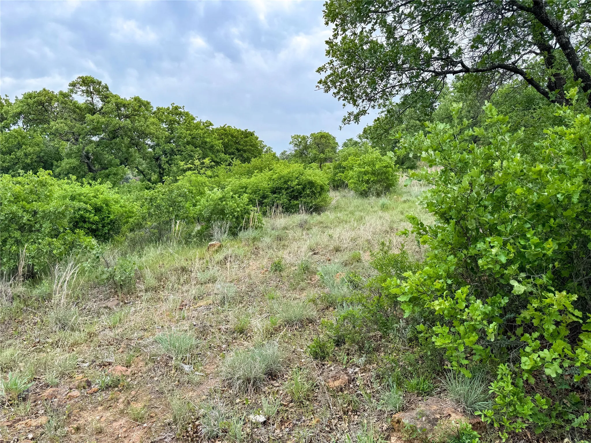 Unimproved Land For Sale in Eastland County , Lot 83 Shoreline Drive, Cisco, Texas 76437, 0, 0, Garage spaces, 0 Sqft, built in 0, Price $89,900, mls#20926674, Real Estate Agent in Cisco, Homes For Sale in Eastland county, Homes For Sale in Cisco, Realtor in Cisco Texas, Real Estate Brokerage Independent Realty Texas, Luminita Cordes Realtor