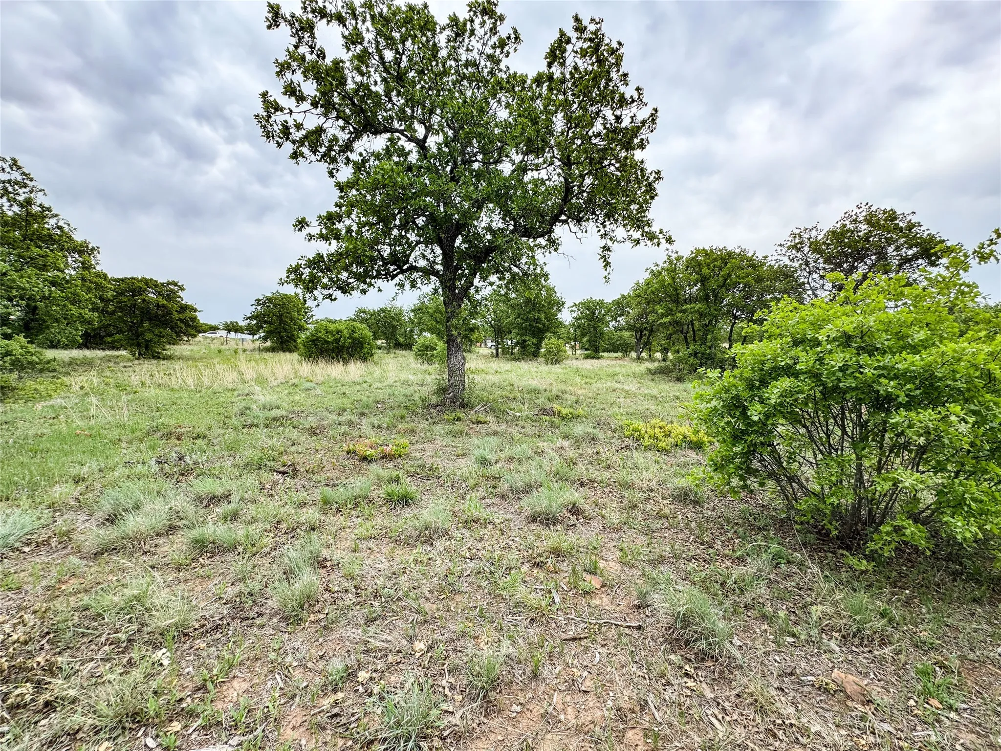Unimproved Land For Sale in Eastland County , Lot 83 Shoreline Drive, Cisco, Texas 76437, 0, 0, Garage spaces, 0 Sqft, built in 0, Price $89,900, mls#20926674, Real Estate Agent in Cisco, Homes For Sale in Eastland county, Homes For Sale in Cisco, Realtor in Cisco Texas, Real Estate Brokerage Independent Realty Texas, Luminita Cordes Realtor