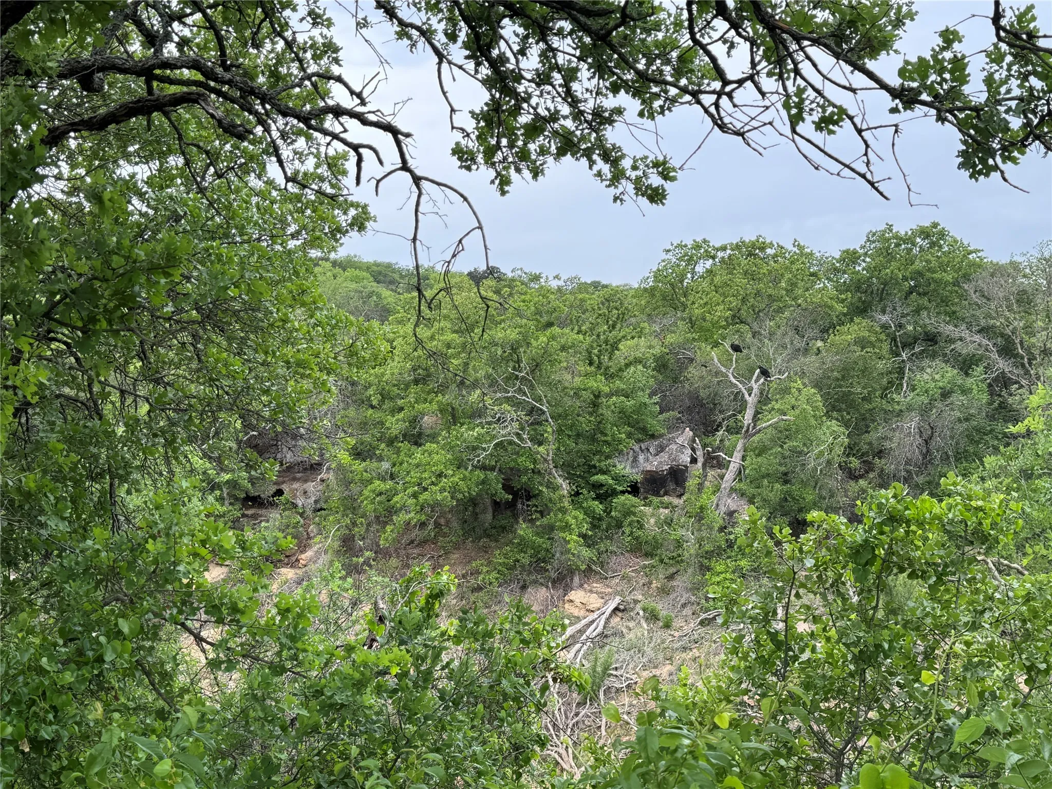 Unimproved Land For Sale in Eastland County , Lot 83 Shoreline Drive, Cisco, Texas 76437, 0, 0, Garage spaces, 0 Sqft, built in 0, Price $89,900, mls#20926674, Real Estate Agent in Cisco, Homes For Sale in Eastland county, Homes For Sale in Cisco, Realtor in Cisco Texas, Real Estate Brokerage Independent Realty Texas, Luminita Cordes Realtor