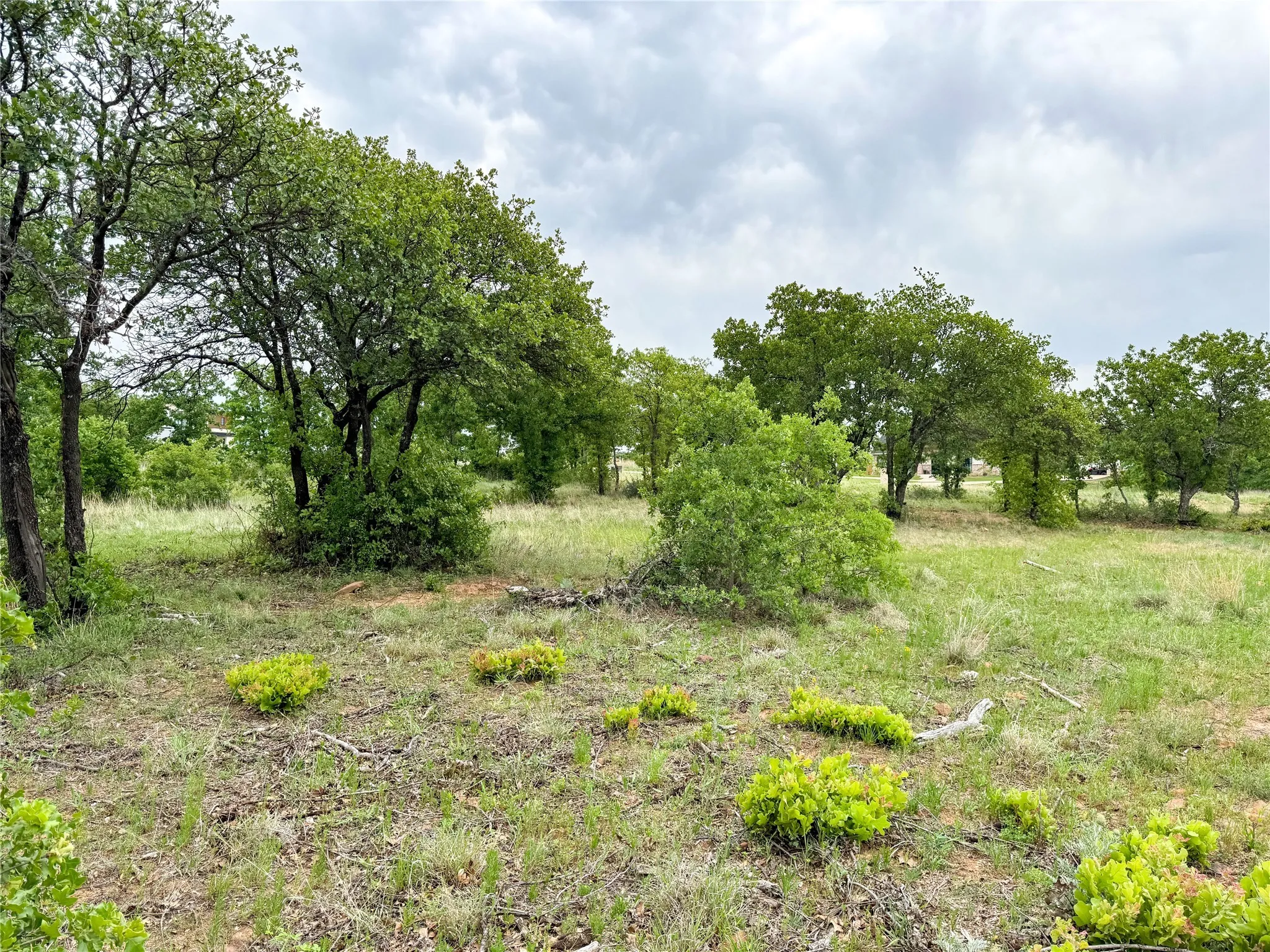 Unimproved Land For Sale in Eastland County , Lot 83 Shoreline Drive, Cisco, Texas 76437, 0, 0, Garage spaces, 0 Sqft, built in 0, Price $89,900, mls#20926674, Real Estate Agent in Cisco, Homes For Sale in Eastland county, Homes For Sale in Cisco, Realtor in Cisco Texas, Real Estate Brokerage Independent Realty Texas, Luminita Cordes Realtor
