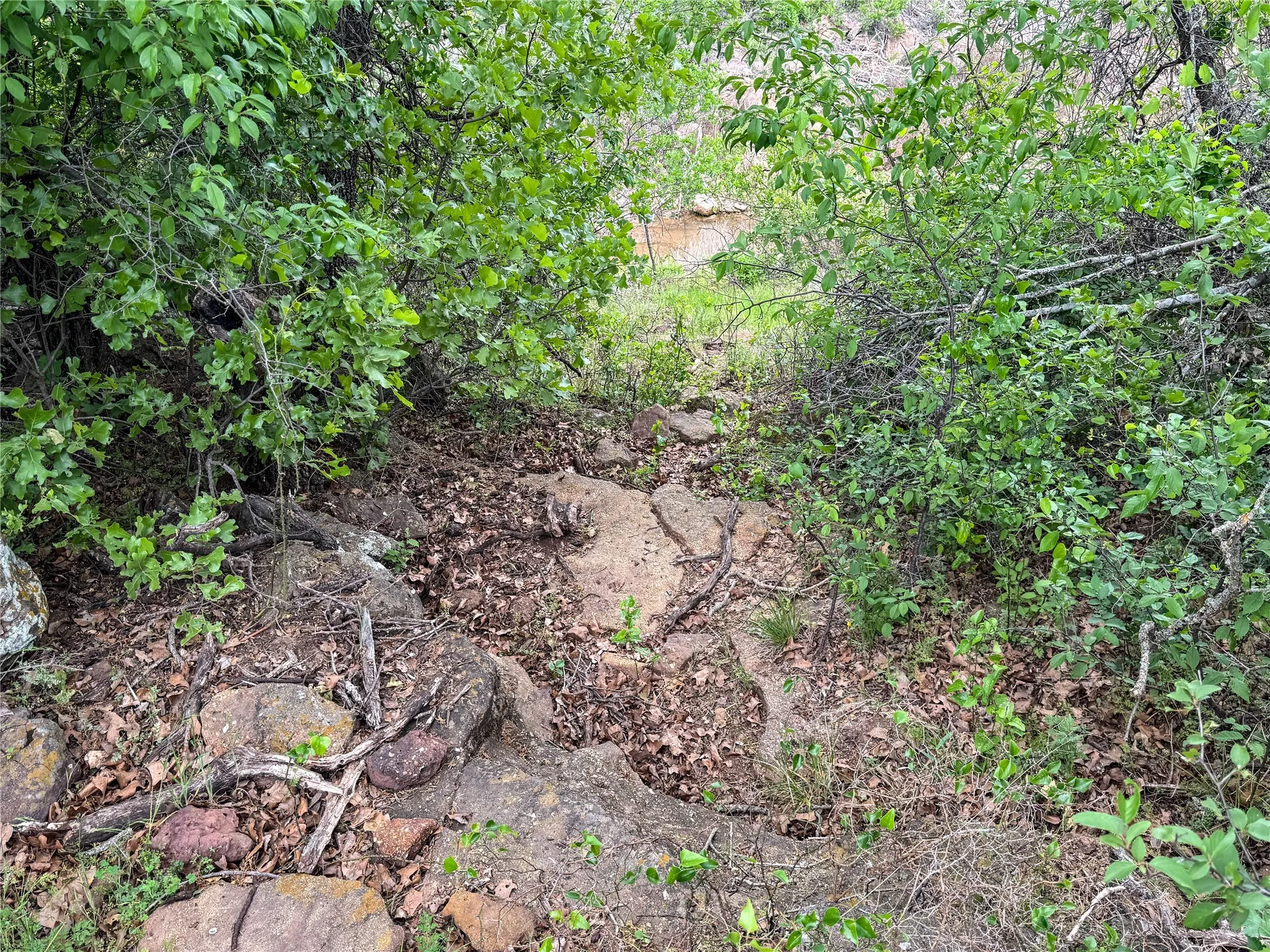 Unimproved Land For Sale in Eastland County , Lot 83 Shoreline Drive, Cisco, Texas 76437, 0, 0, Garage spaces, 0 Sqft, built in 0, Price $89,900, mls#20926674, Real Estate Agent in Cisco, Homes For Sale in Eastland county, Homes For Sale in Cisco, Realtor in Cisco Texas, Real Estate Brokerage Independent Realty Texas, Luminita Cordes Realtor