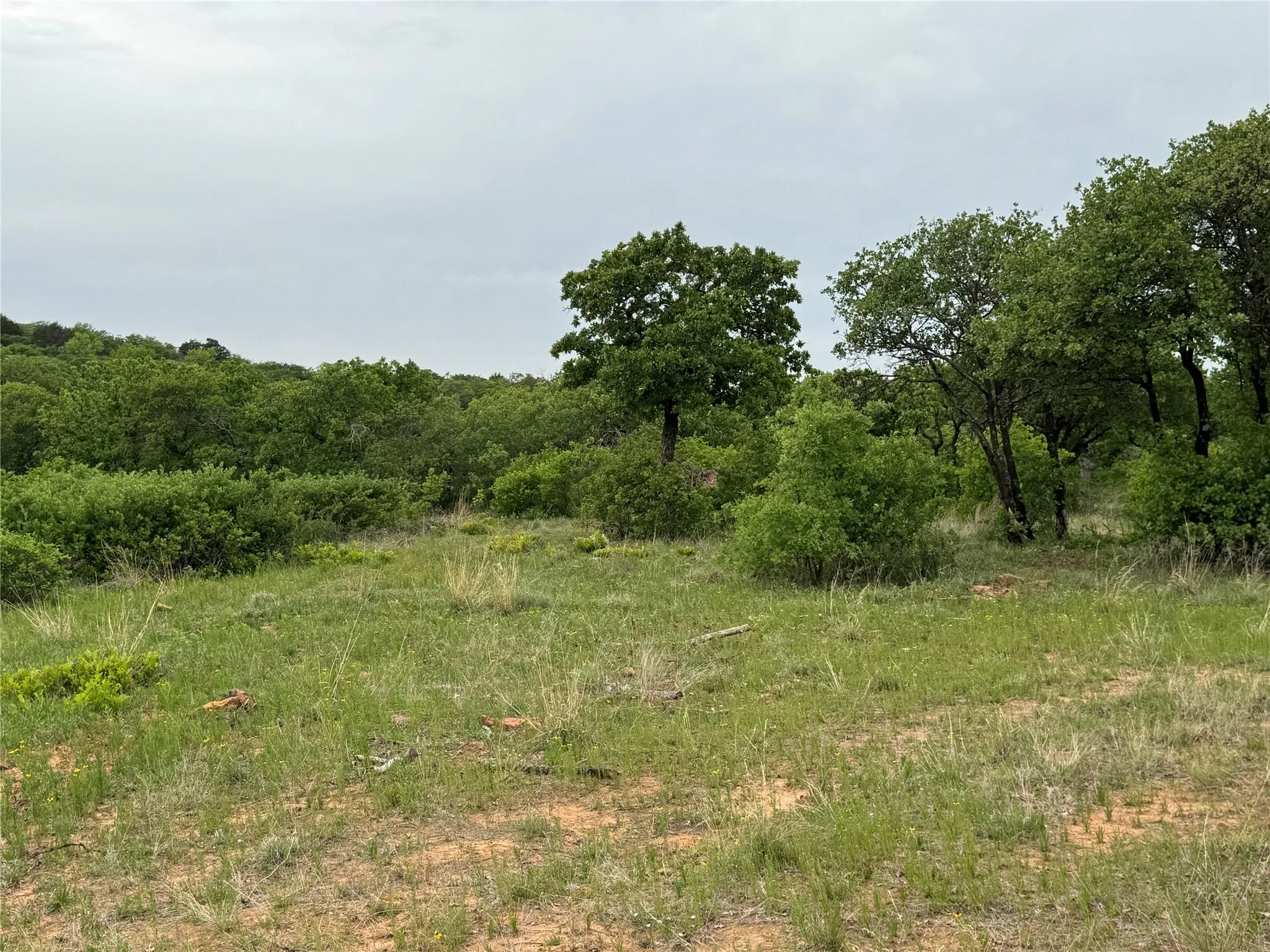 Unimproved Land For Sale in Eastland County , Lot 83 Shoreline Drive, Cisco, Texas 76437, 0, 0, Garage spaces, 0 Sqft, built in 0, Price $89,900, mls#20926674, Real Estate Agent in Cisco, Homes For Sale in Eastland county, Homes For Sale in Cisco, Realtor in Cisco Texas, Real Estate Brokerage Independent Realty Texas, Luminita Cordes Realtor