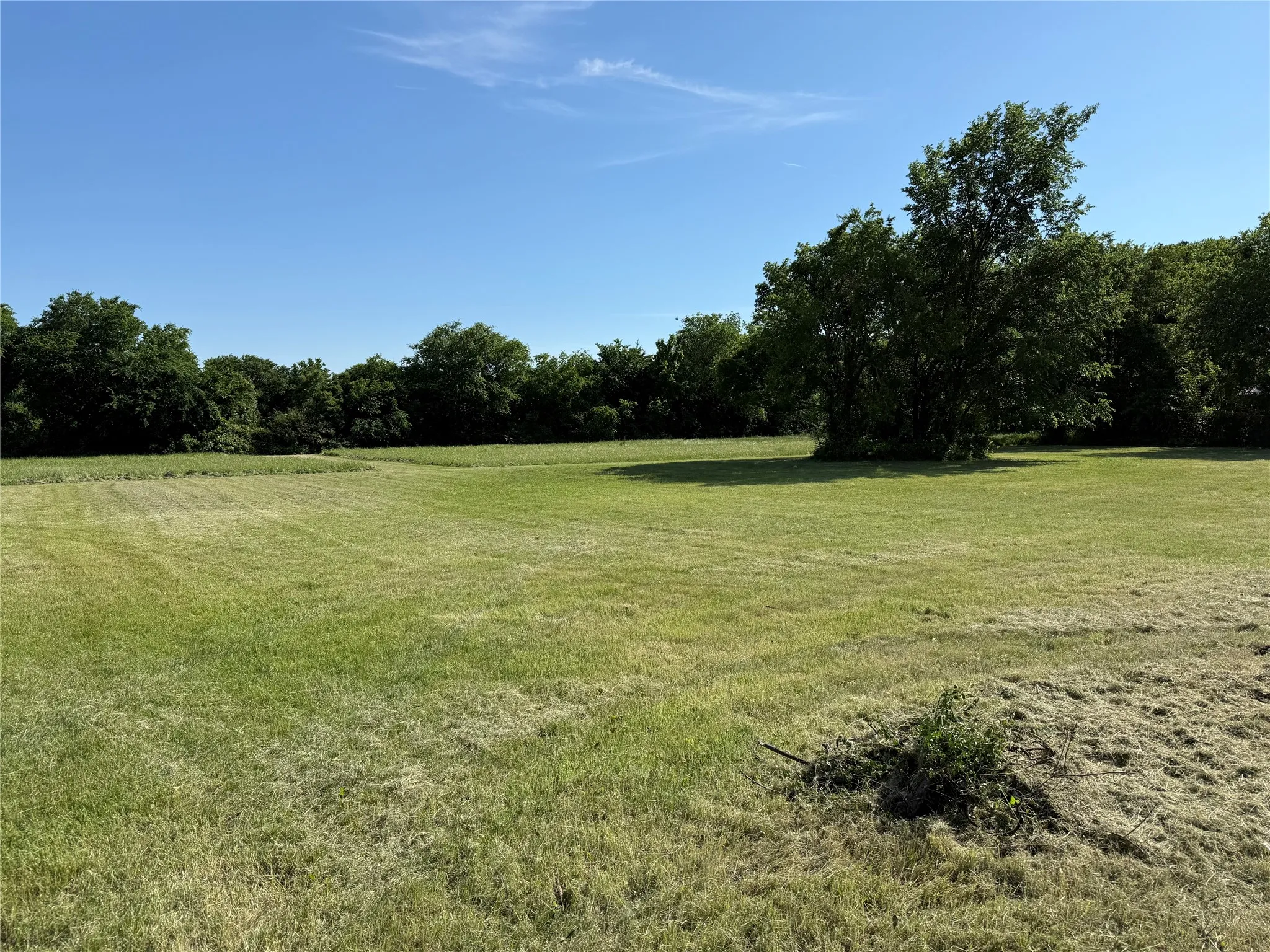 View of yard with a wooded view