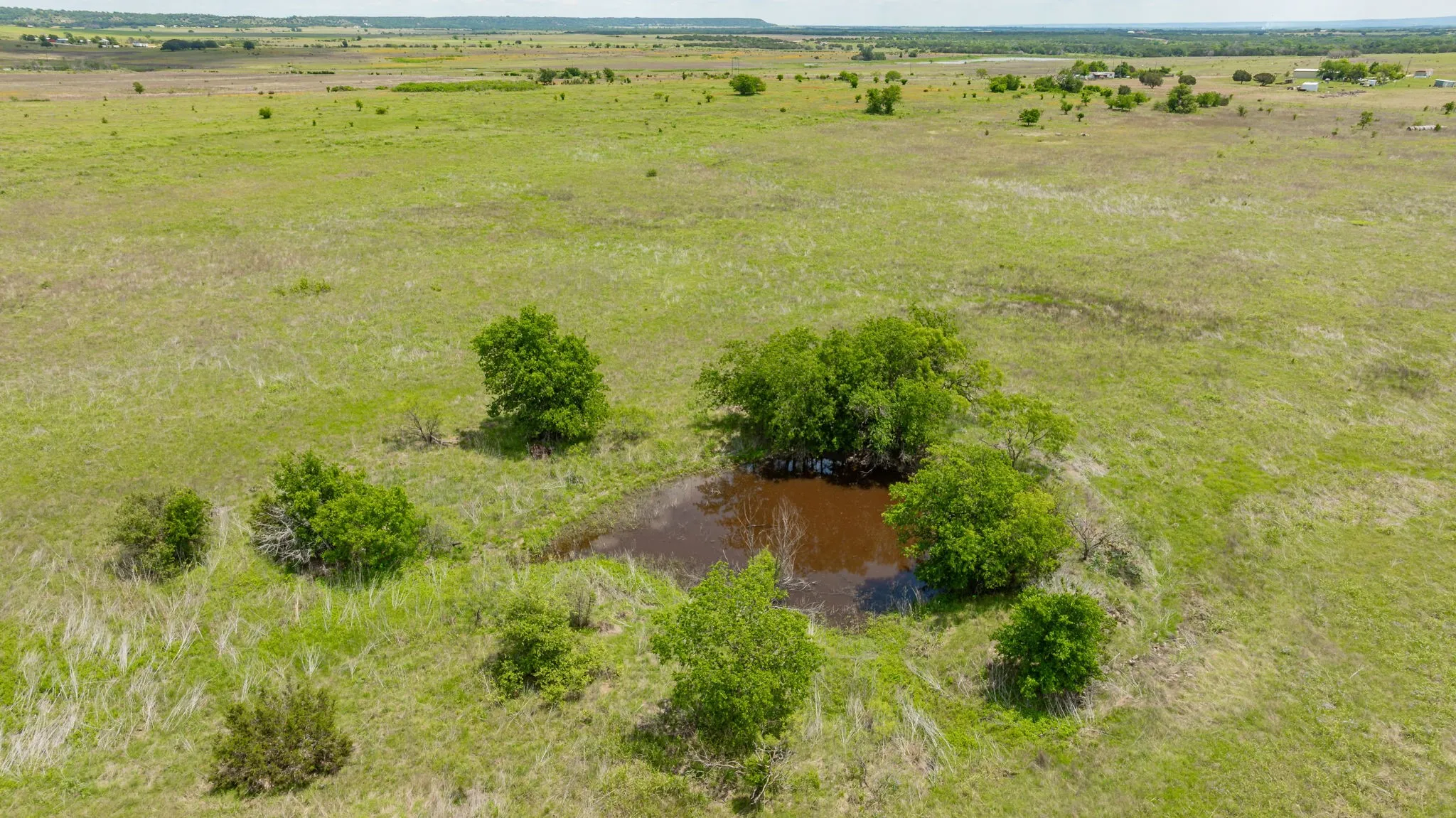 Ranch For Sale in Erath County , TBD County Road 214, Hico, Texas 76457, 0, 0, Garage spaces, 0 Sqft, built in 0, Price $1,994,760, mls#20928890, Real Estate Agent in Hico, Homes For Sale in Erath county, Homes For Sale in Hico, Realtor in Hico Texas, Real Estate Brokerage Independent Realty Texas, Luminita Cordes Realtor