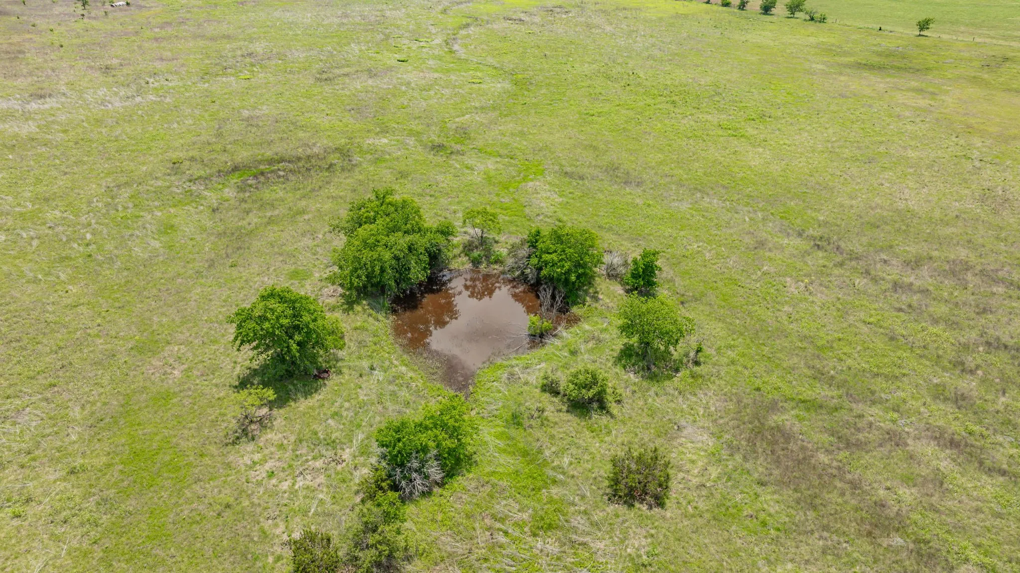 Ranch For Sale in Erath County , TBD County Road 214, Hico, Texas 76457, 0, 0, Garage spaces, 0 Sqft, built in 0, Price $1,994,760, mls#20928890, Real Estate Agent in Hico, Homes For Sale in Erath county, Homes For Sale in Hico, Realtor in Hico Texas, Real Estate Brokerage Independent Realty Texas, Luminita Cordes Realtor