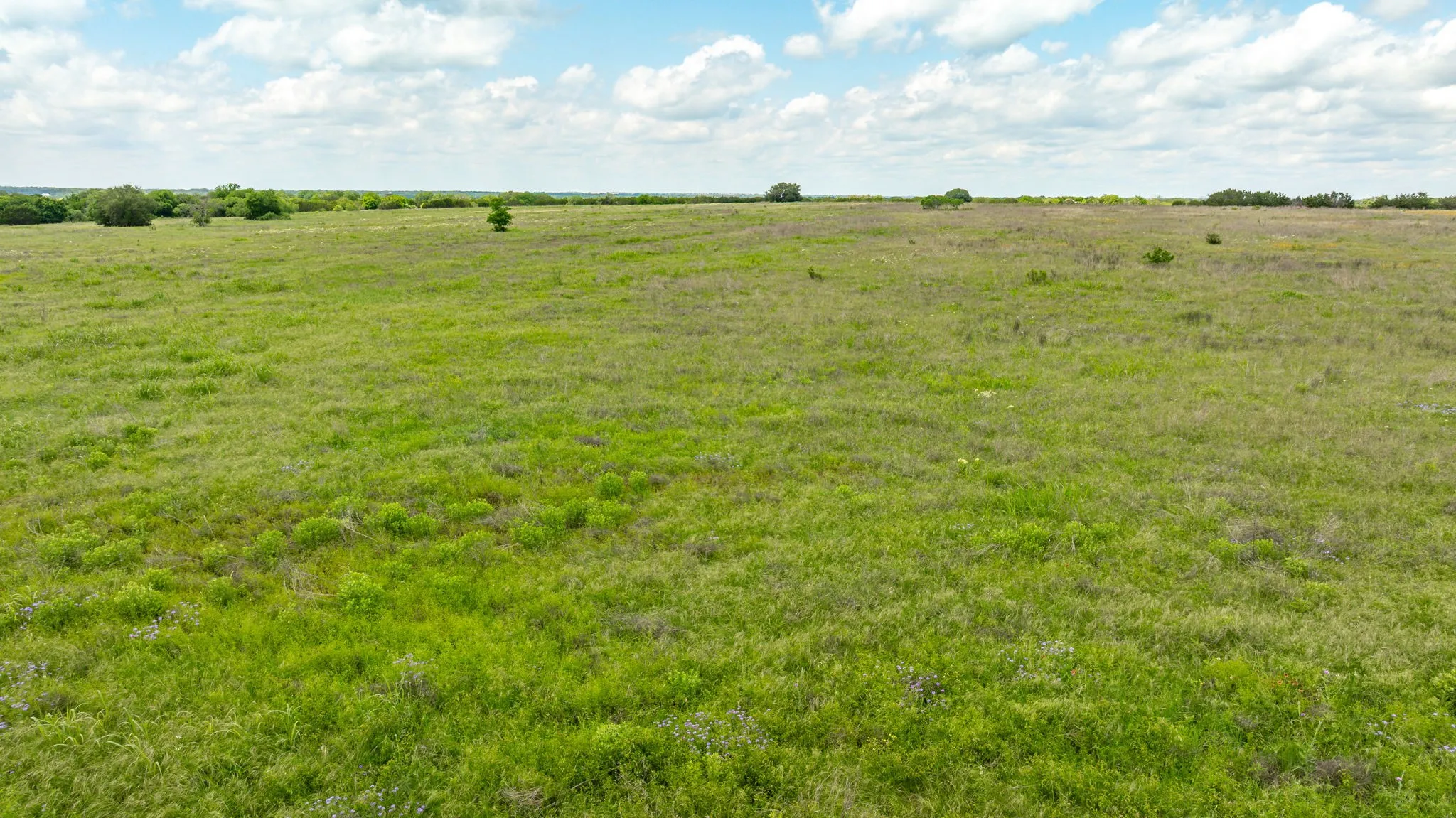 Ranch For Sale in Erath County , TBD County Road 214, Hico, Texas 76457, 0, 0, Garage spaces, 0 Sqft, built in 0, Price $1,994,760, mls#20928890, Real Estate Agent in Hico, Homes For Sale in Erath county, Homes For Sale in Hico, Realtor in Hico Texas, Real Estate Brokerage Independent Realty Texas, Luminita Cordes Realtor