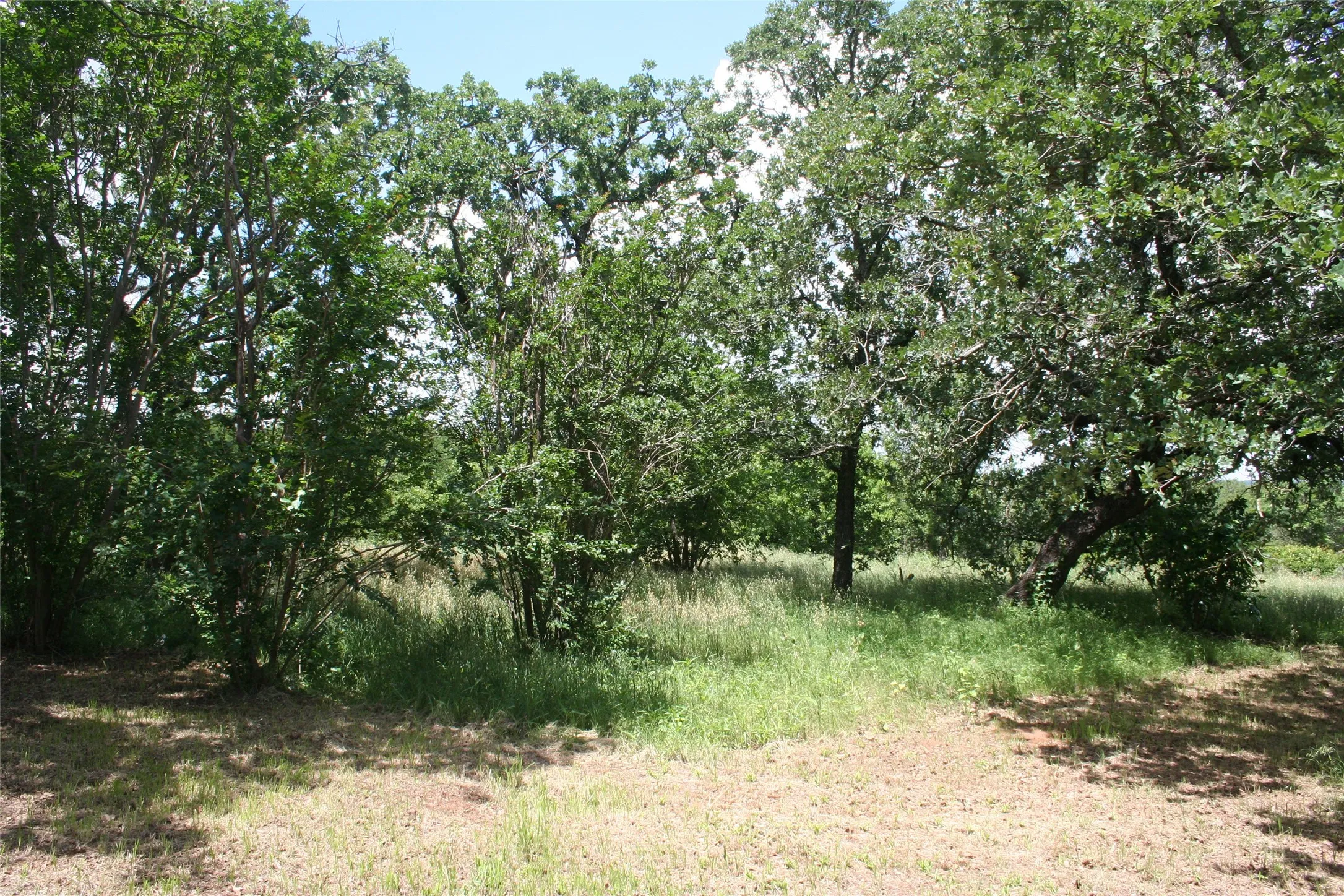 Improved Land For Sale in Palo Pinto County , 215 Buzbee Road, Palo Pinto, Texas 76484, 0, 0, Garage spaces, 0 Sqft, built in 1985, mls#20932166, Real Estate Agent in Palo Pinto, Homes For Sale in Palo Pinto county, Homes For Sale in Palo Pinto, Realtor in Palo Pinto Texas, Real Estate Brokerage Independent Realty Texas, Luminita Cordes Realtor