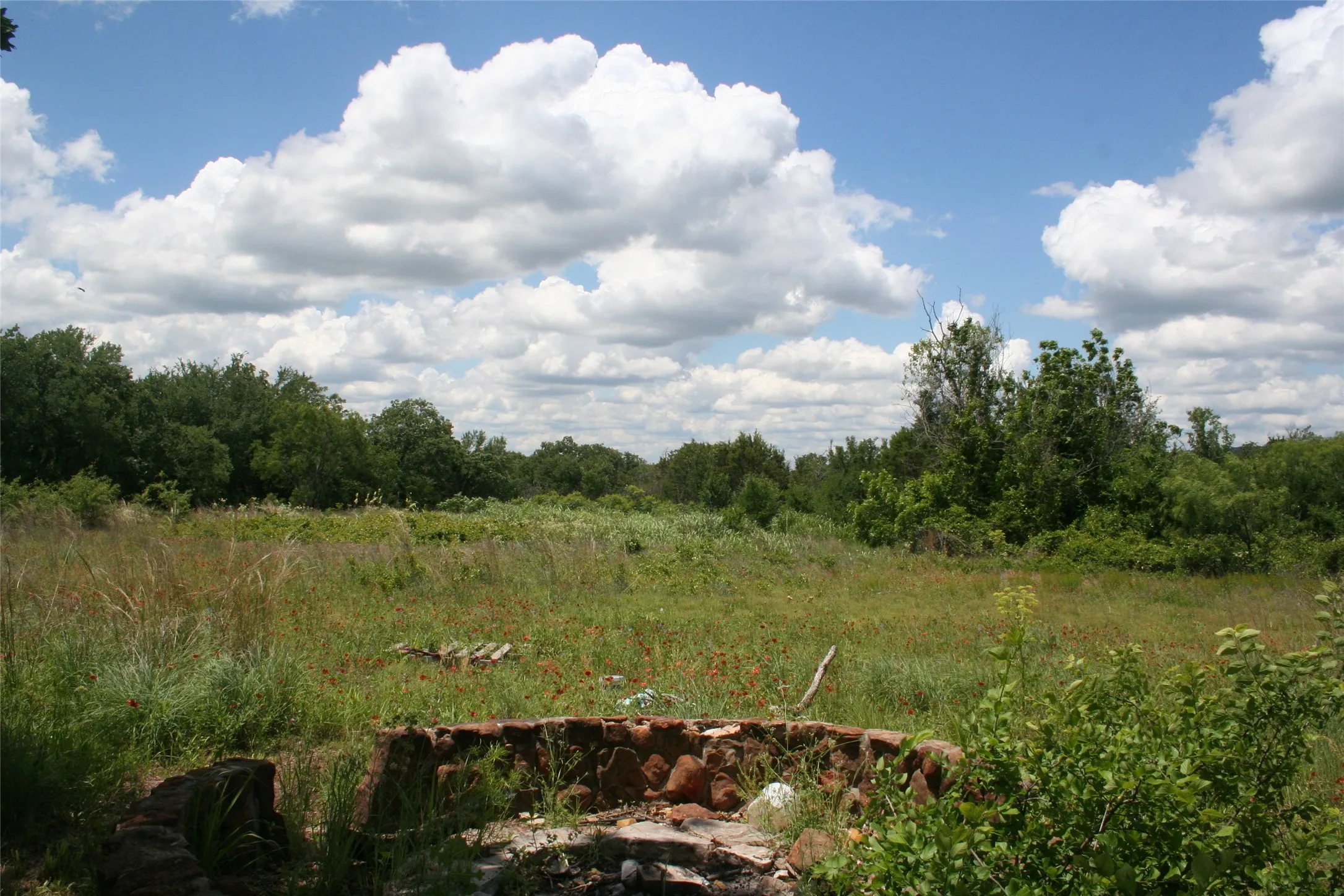 View of wooded area