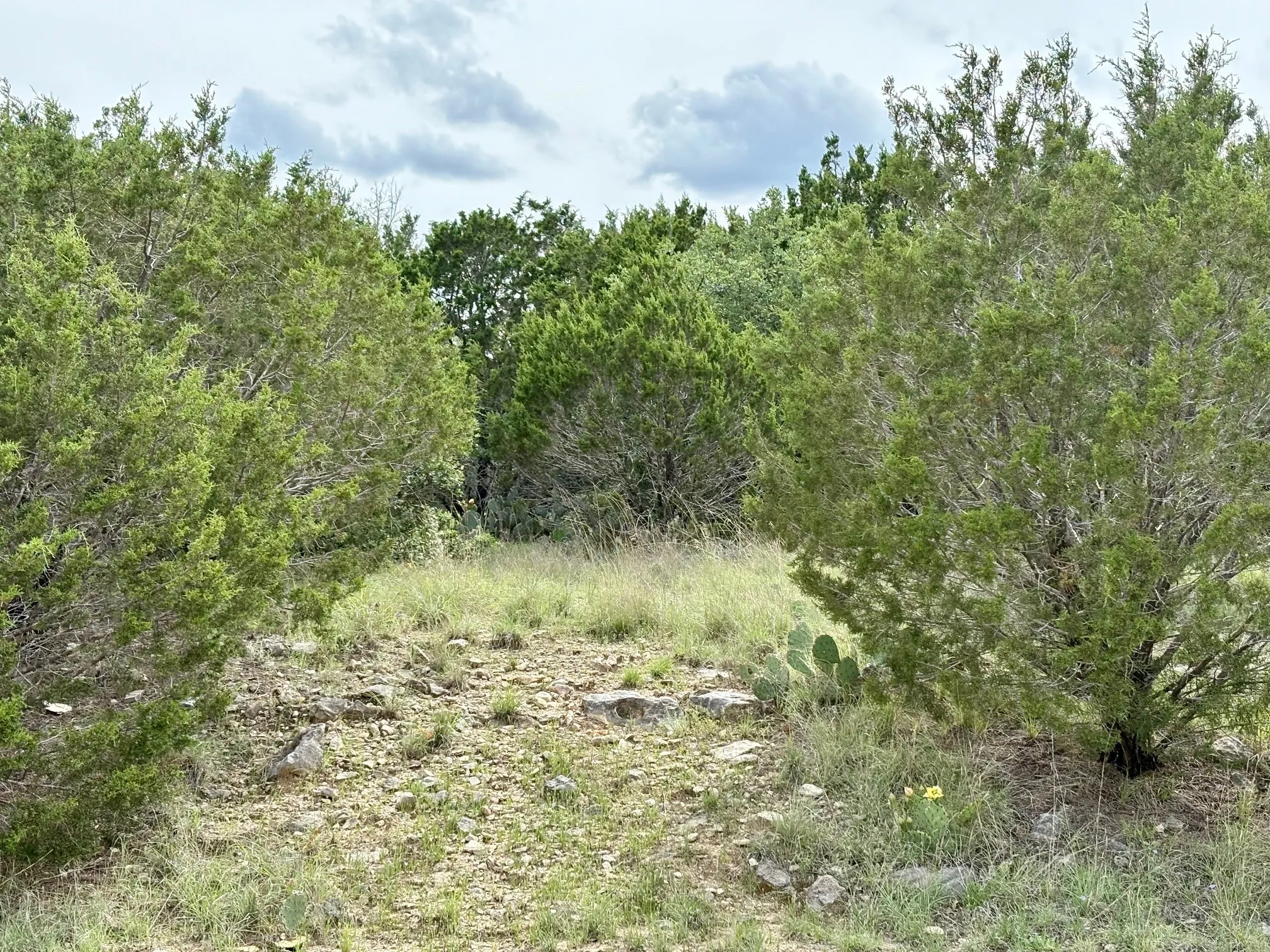 Unimproved Land For Sale in Palo Pinto County , Lot 7 Glen Abbey Drive S, Possum Kingdom Lake, Texas 76449, 0, 0, Garage spaces, 0 Sqft, built in 0, mls#20932221, Real Estate Agent in Possum Kingdom Lake, Homes For Sale in Palo Pinto county, Homes For Sale in Possum Kingdom Lake, Realtor in Possum Kingdom Lake Texas, Real Estate Brokerage Independent Realty Texas, Luminita Cordes Realtor