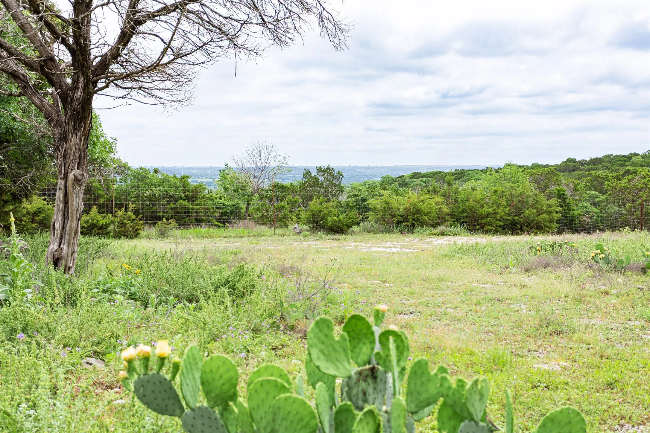View of local wilderness