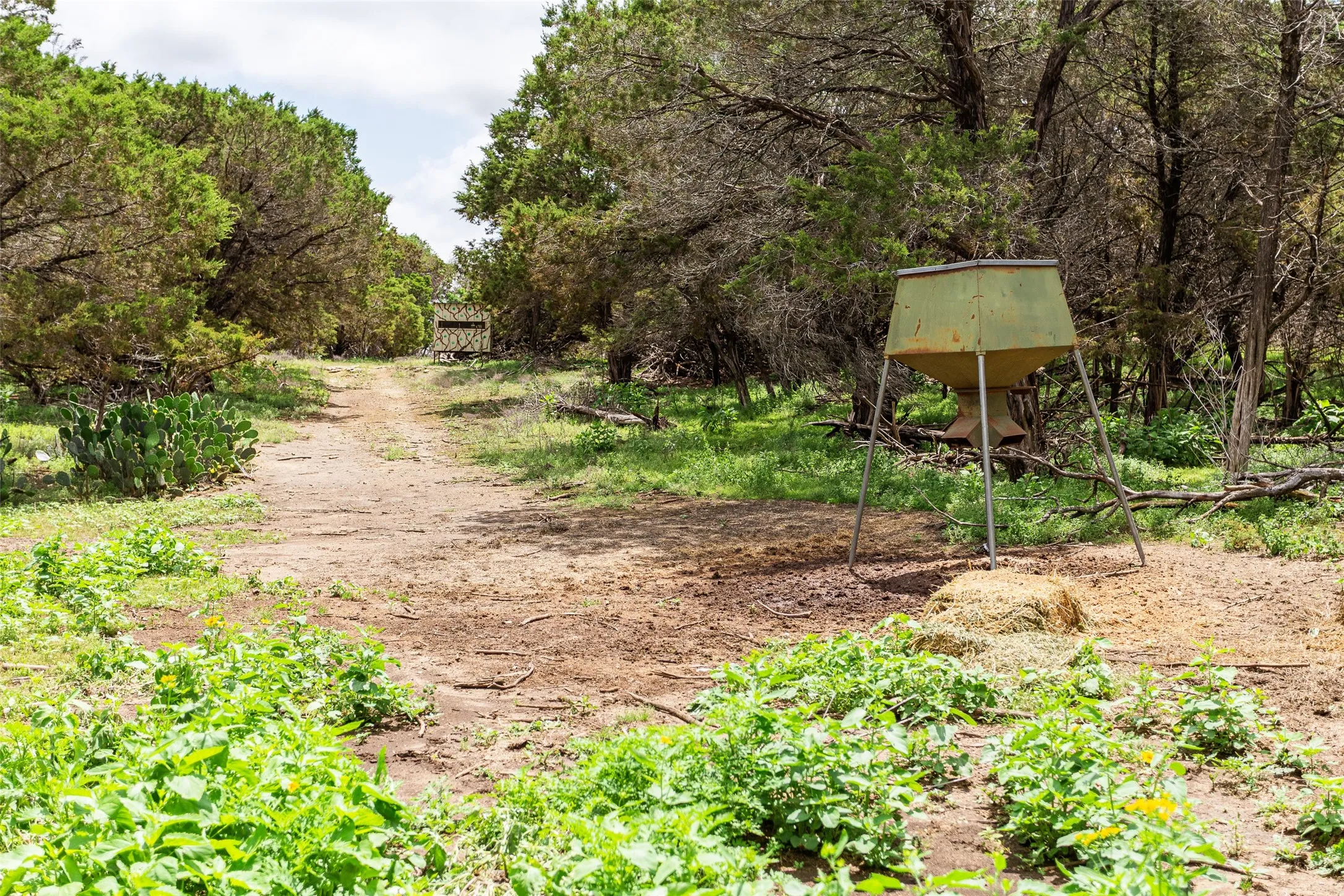 Farm For Sale in Bosque County , 7807 Tx-6, Clifton, Texas 76634, 3 Bedroom, 3 Bathroom, Garage spaces, 2,524 Sqft, built in 2003, mls#20933025, Real Estate Agent in Clifton, Homes For Sale in Bosque county, Homes For Sale in Clifton, Realtor in Clifton Texas, Real Estate Brokerage Independent Realty Texas, Luminita Cordes Realtor