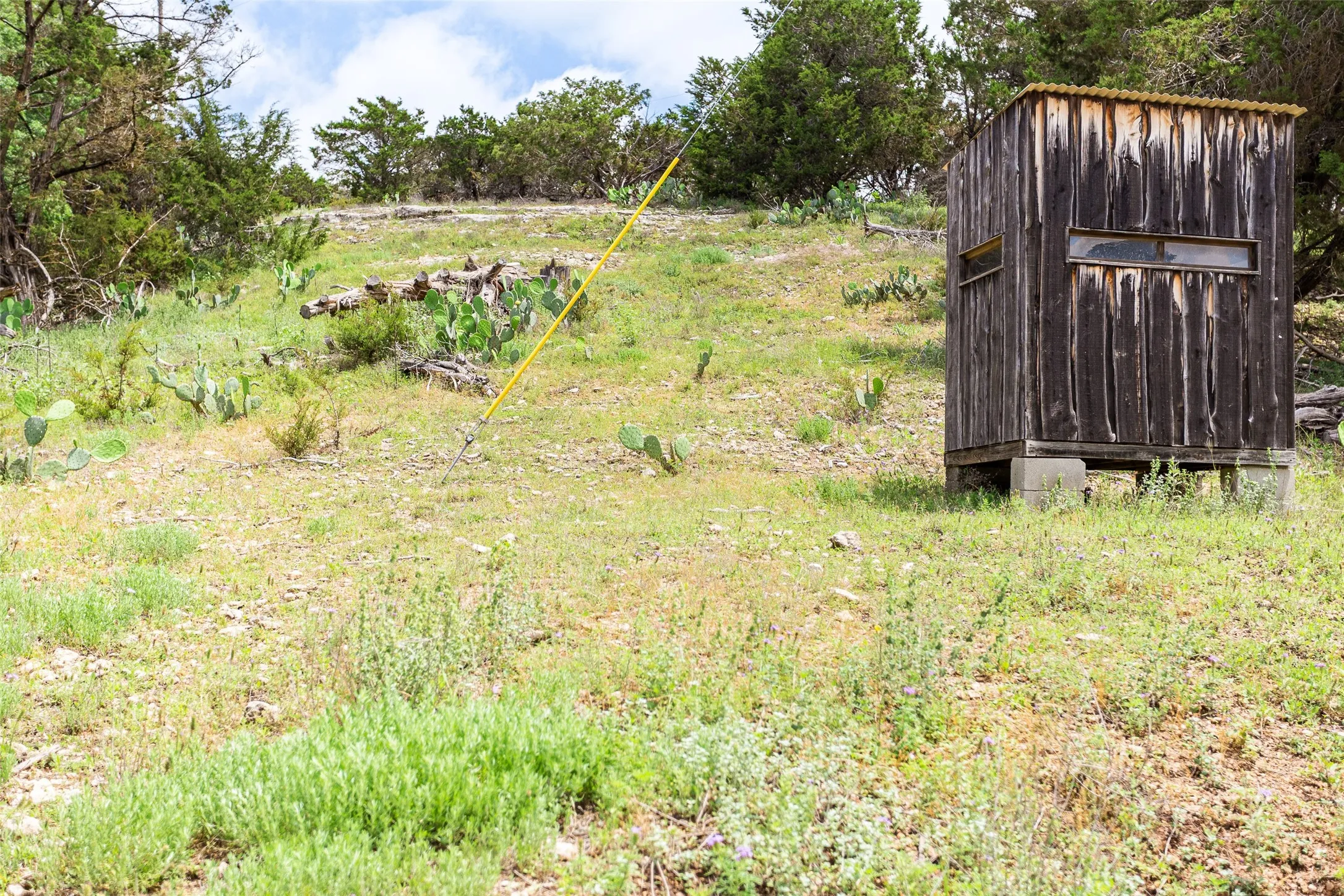 View of yard featuring an outbuilding and a storage unit
