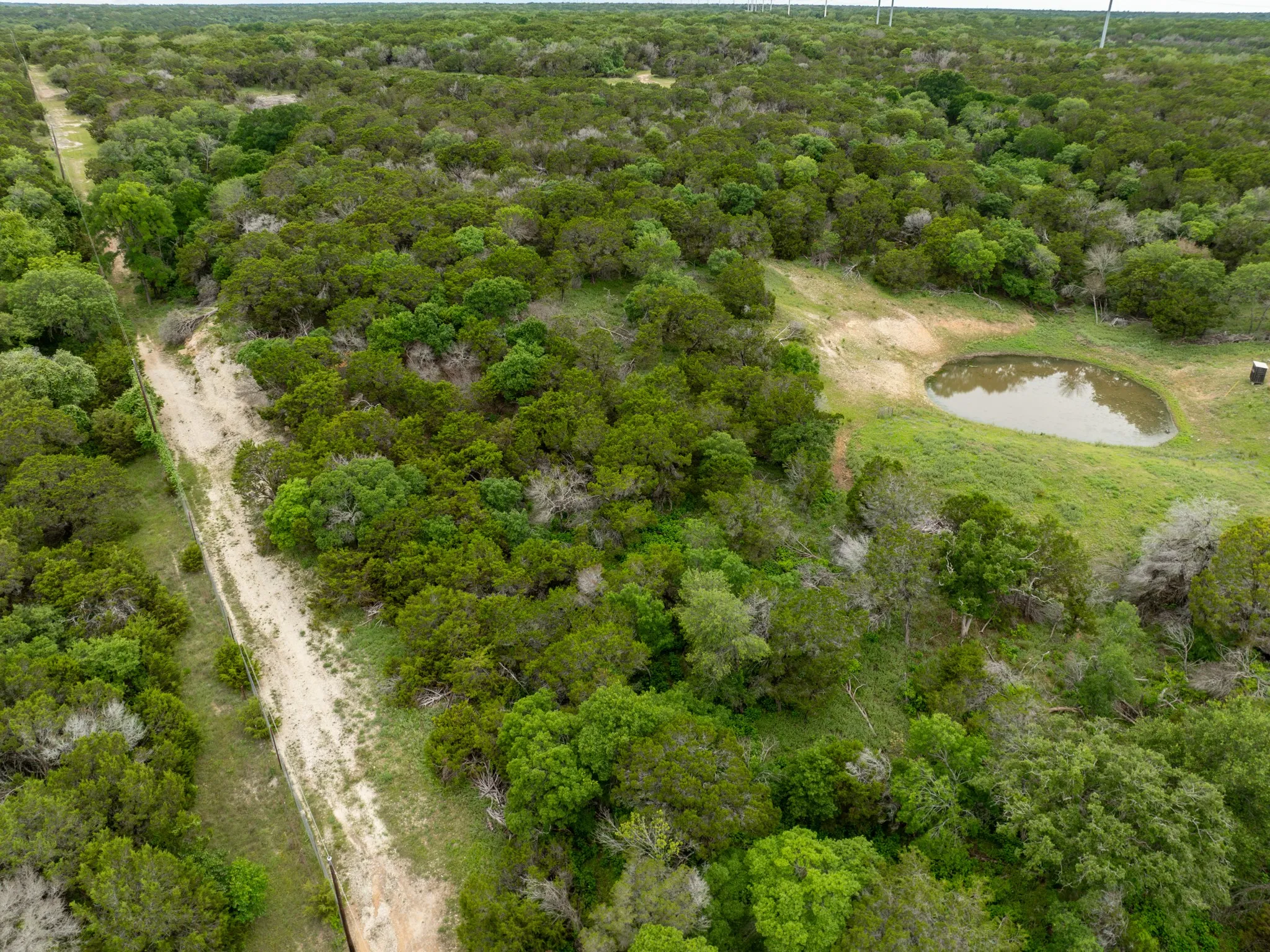 Bird's eye view of a nearby body of water and a forest