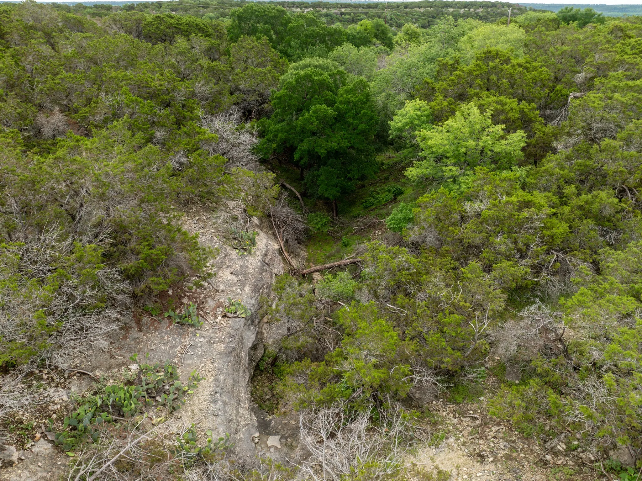 Drone / aerial view of a heavily wooded area