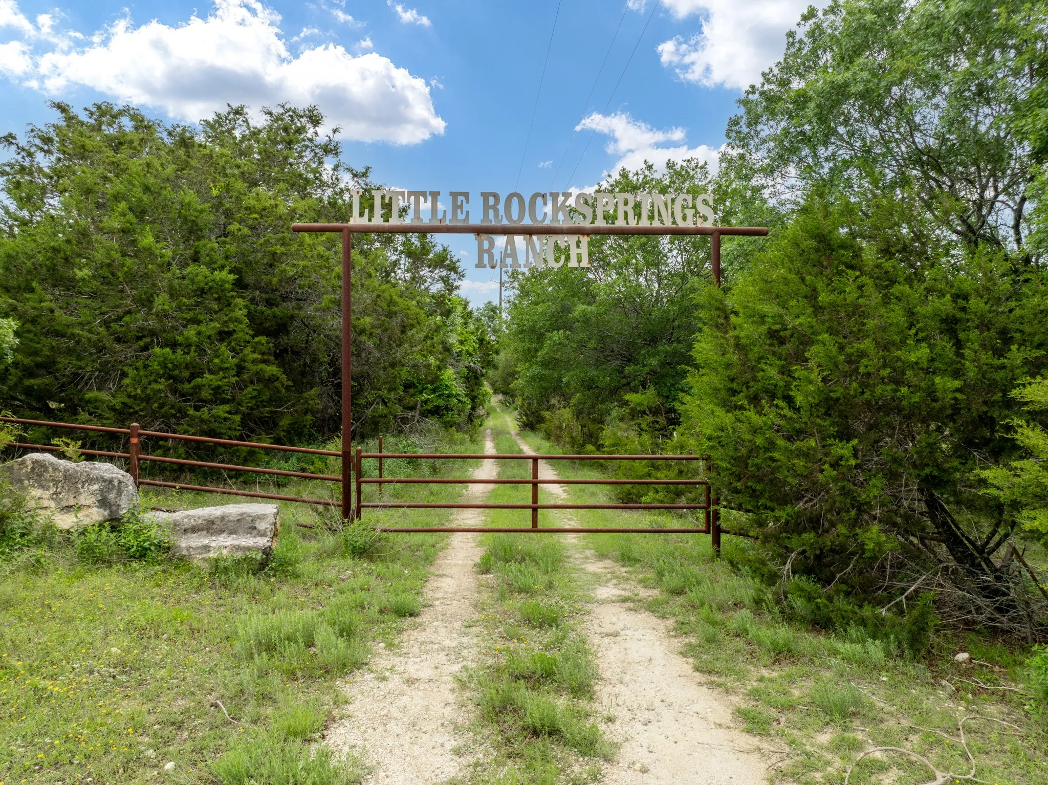 Gate with fence