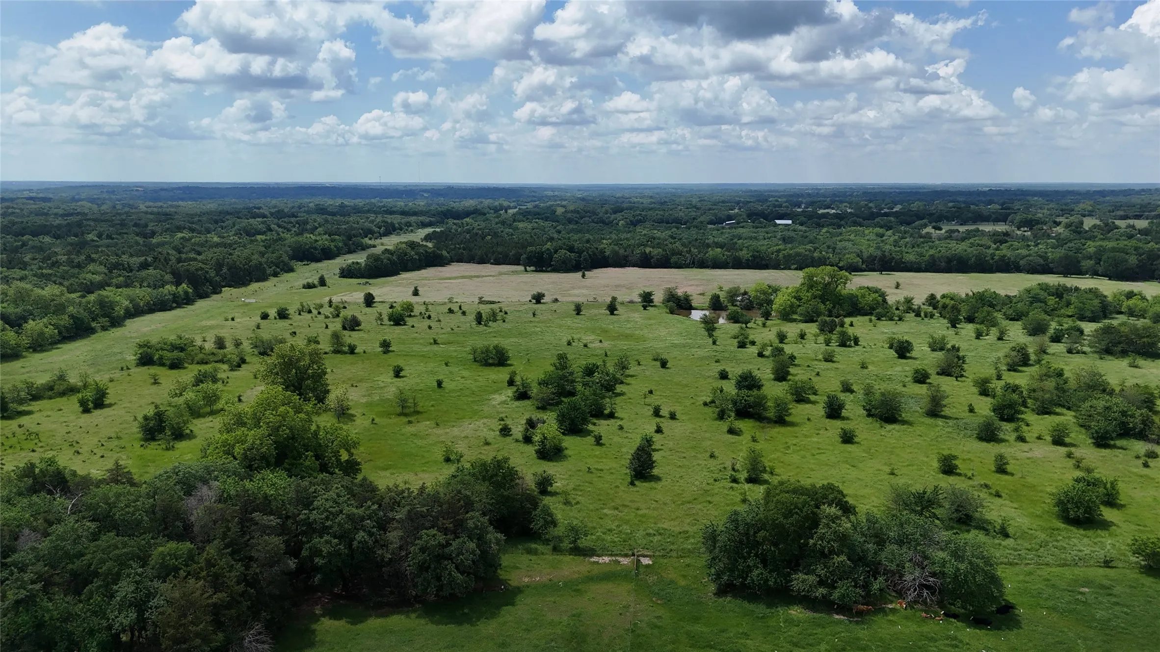Improved Land For Sale in Grayson County , TBD Singletree Road, Denison, Texas 75021, 0, 0, Garage spaces, 0 Sqft, built in 0, Price $900,000, mls#20933542, Real Estate Agent in Denison, Homes For Sale in Grayson county, Homes For Sale in Denison, Realtor in Denison Texas, Real Estate Brokerage Independent Realty Texas, Luminita Cordes Realtor