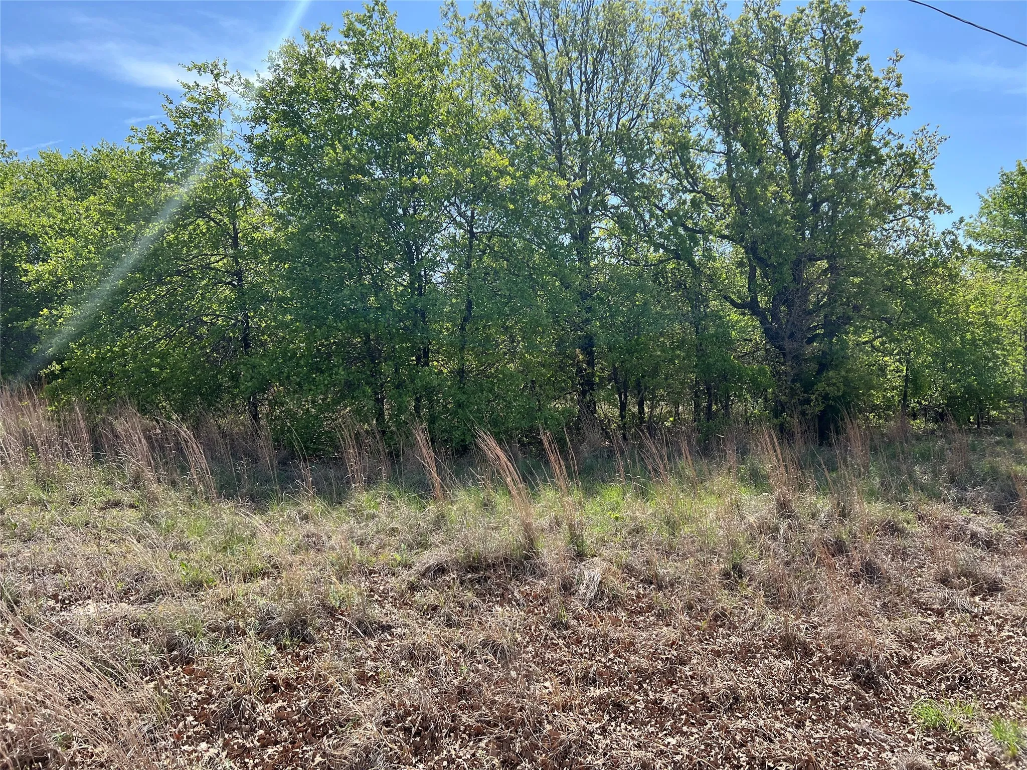 View of undeveloped land