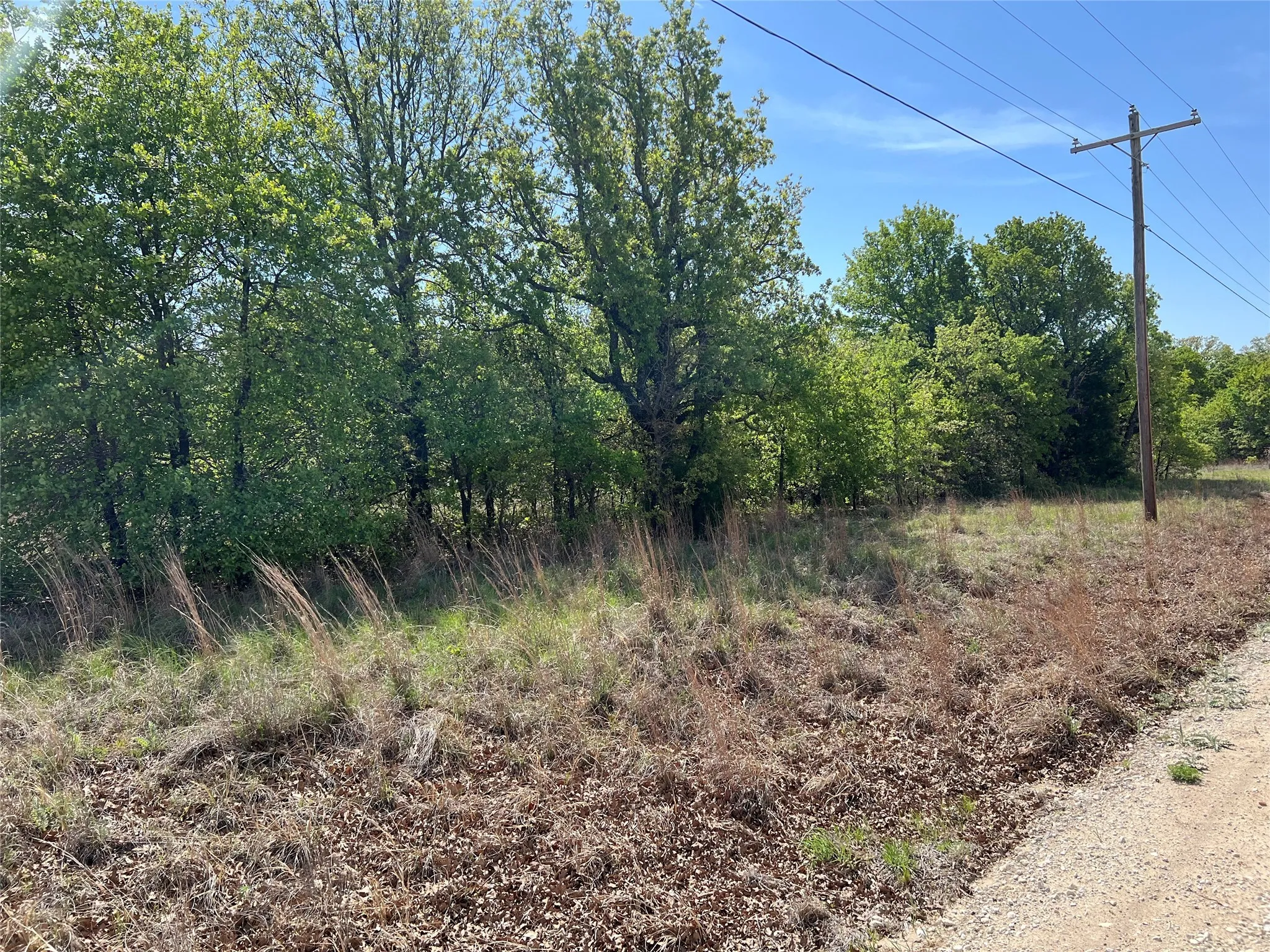 View of undeveloped land