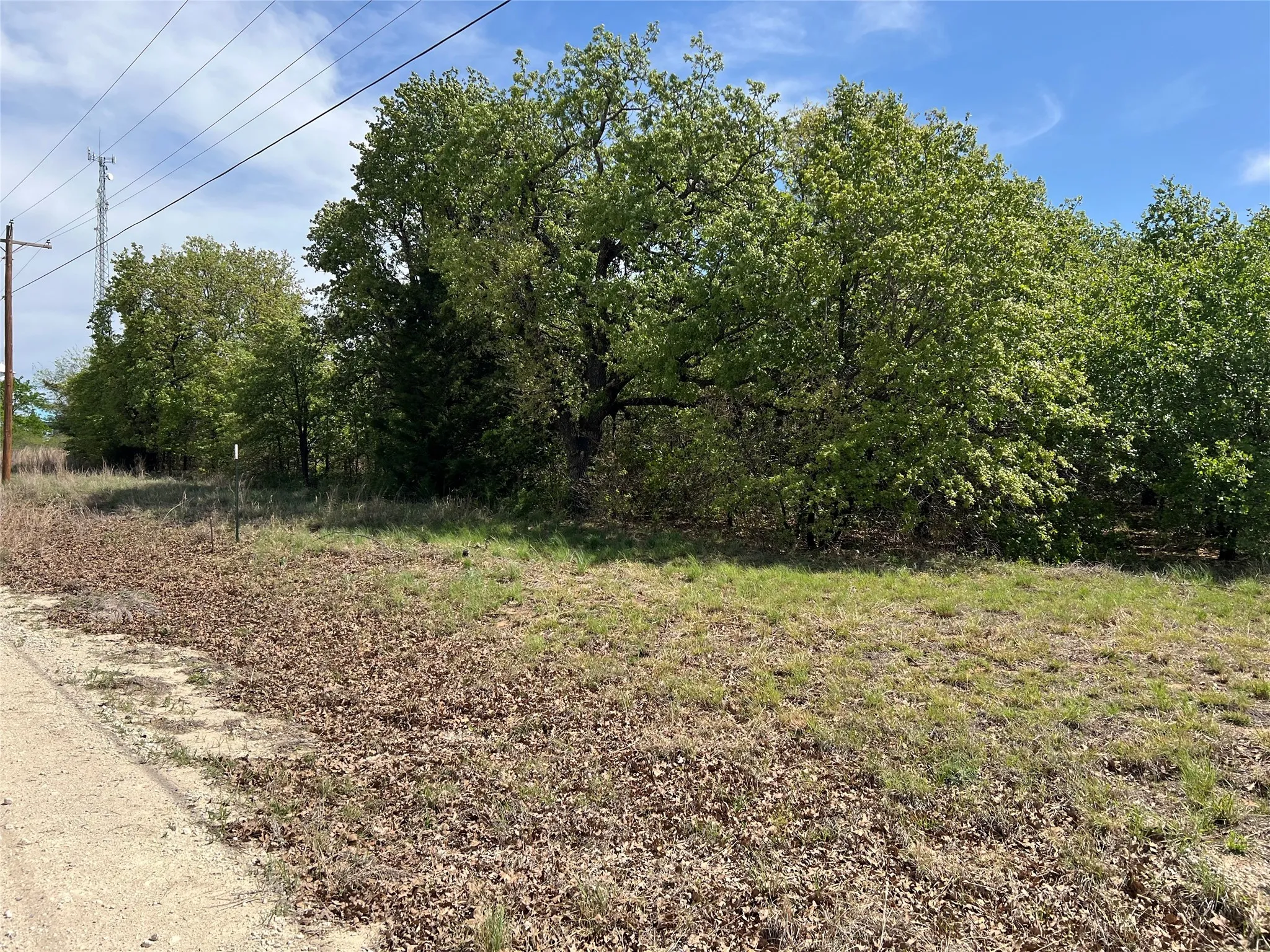 View of undeveloped land