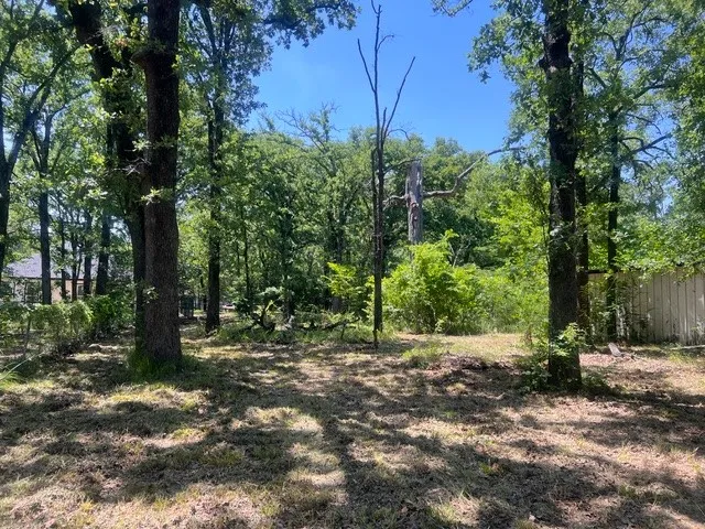 Unimproved Land For Sale in Henderson County , 132 Wilson Way, Gun Barrel City, Texas 75156, 0, 0, Garage spaces, 0 Sqft, built in 0, Price $25,000, mls#20926711, Real Estate Agent in Gun Barrel City, Homes For Sale in Henderson county, Homes For Sale in Gun Barrel City, Realtor in Gun Barrel City Texas, Real Estate Brokerage Independent Realty Texas, Luminita Cordes Realtor