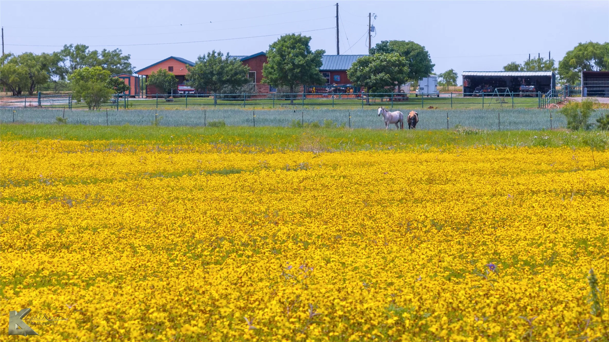 Cross Fence Pasture